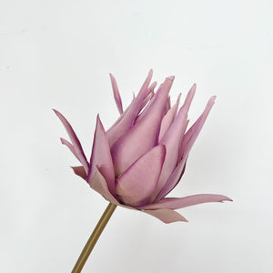 Open image in slideshow, King Protea Flowers
