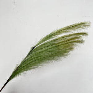 Open image in slideshow, Common Reed (2 pcs)
