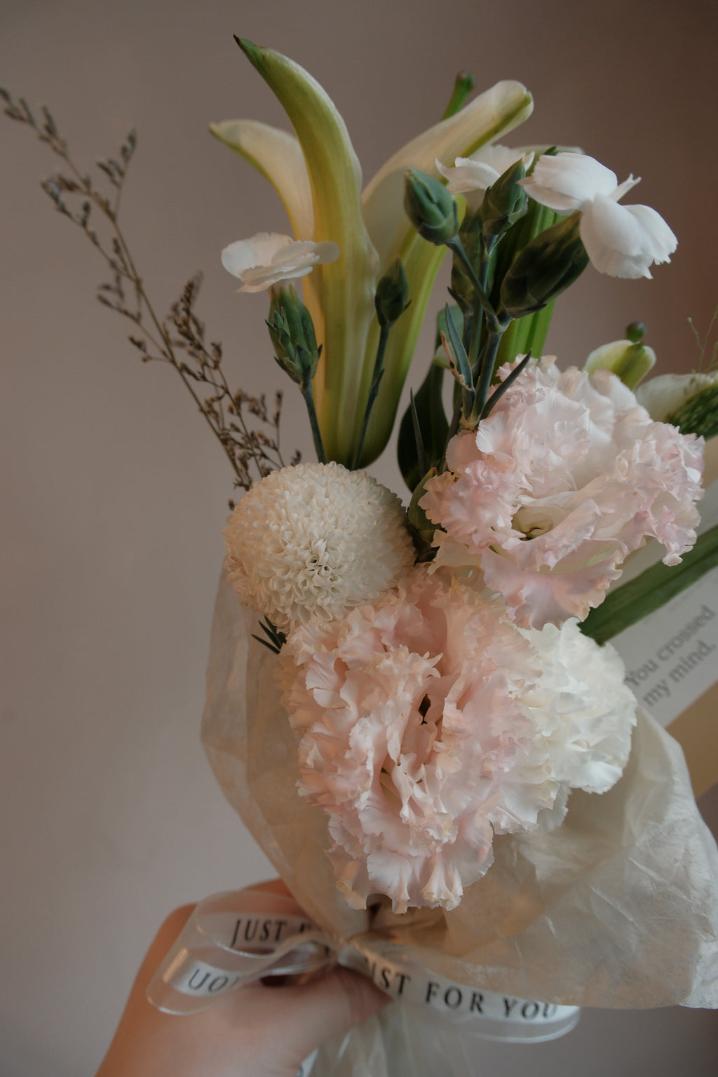 You crossed my mind ii