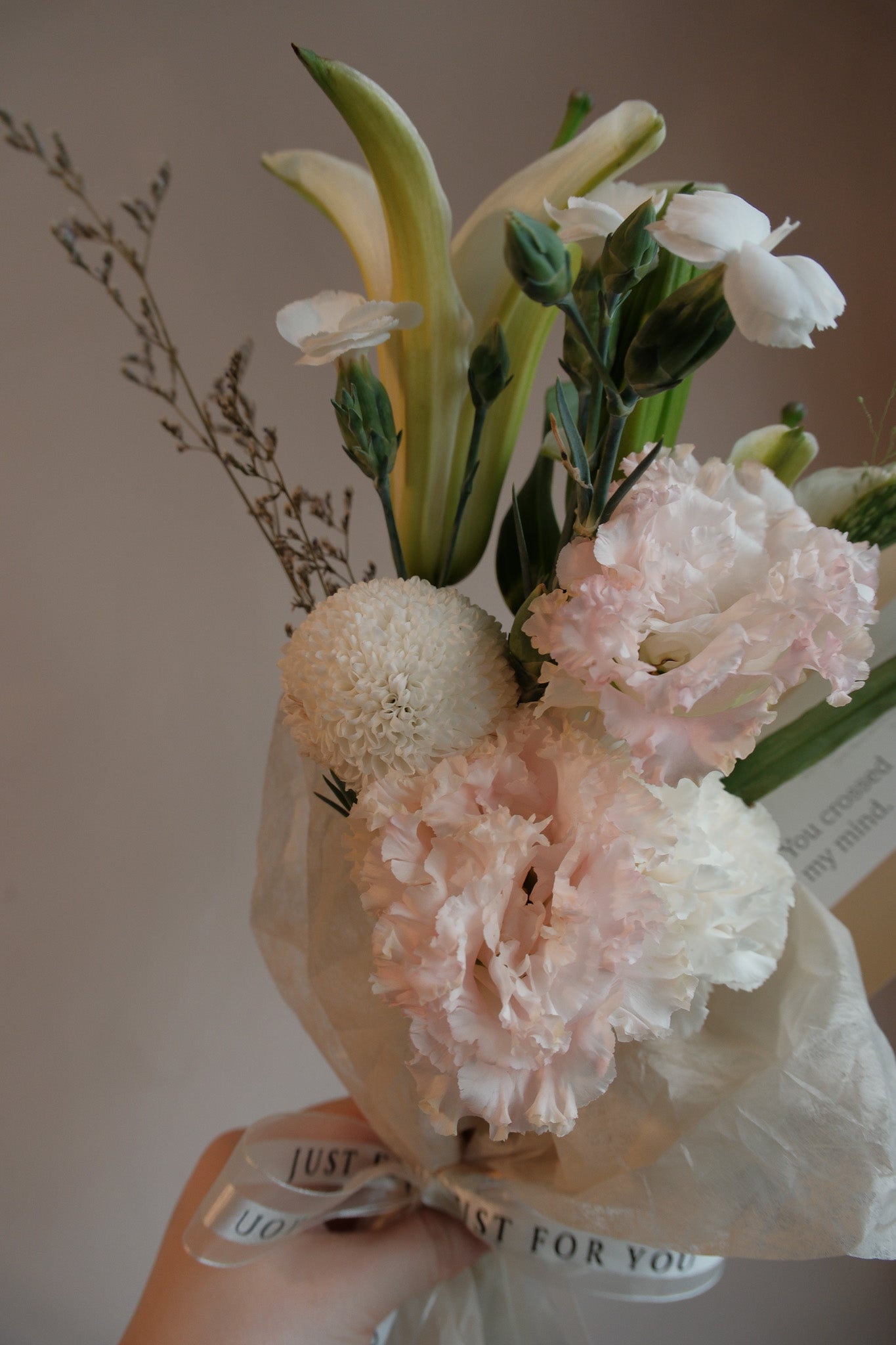 You crossed my mind ii