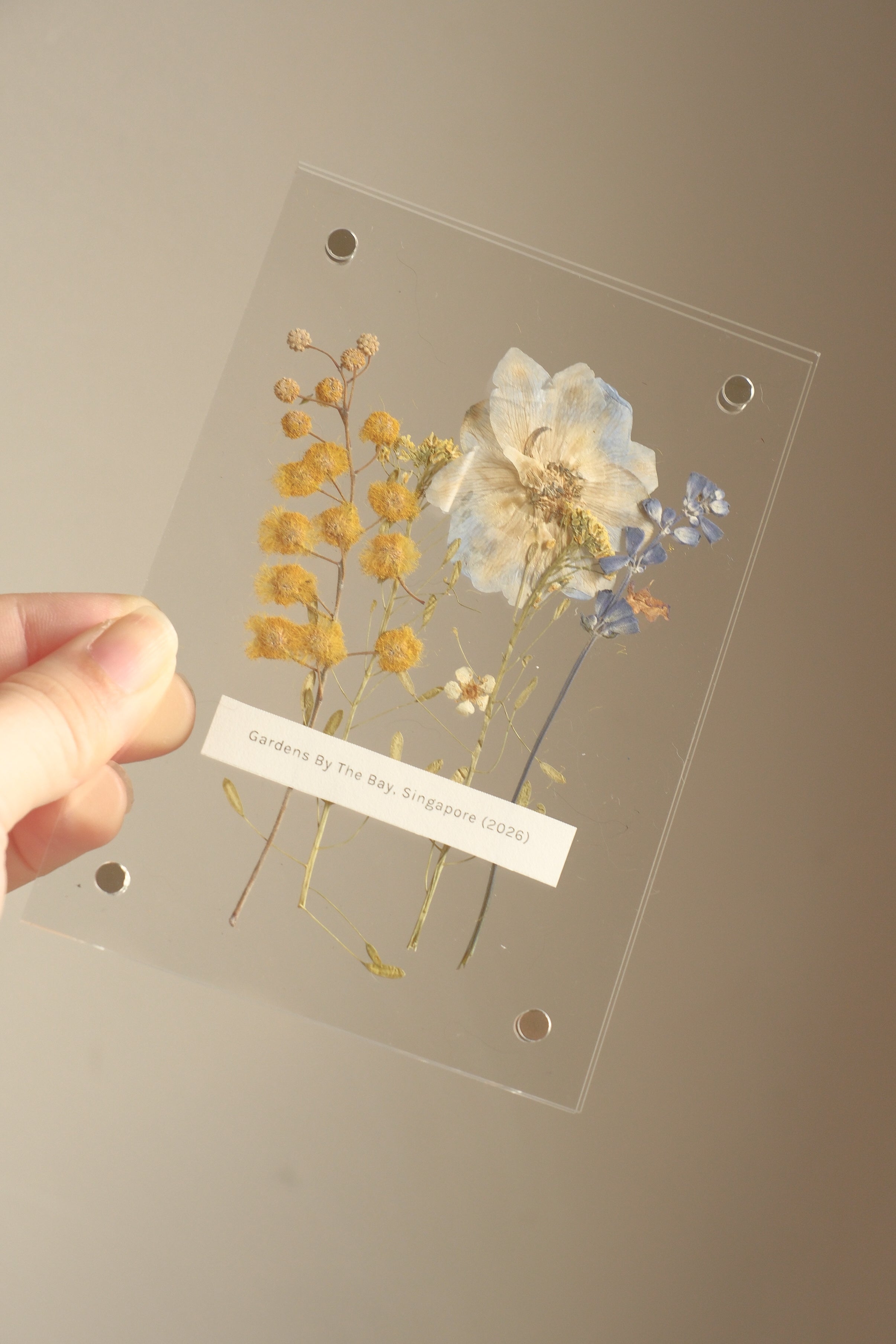 Made to order Floral Magnets (A6)