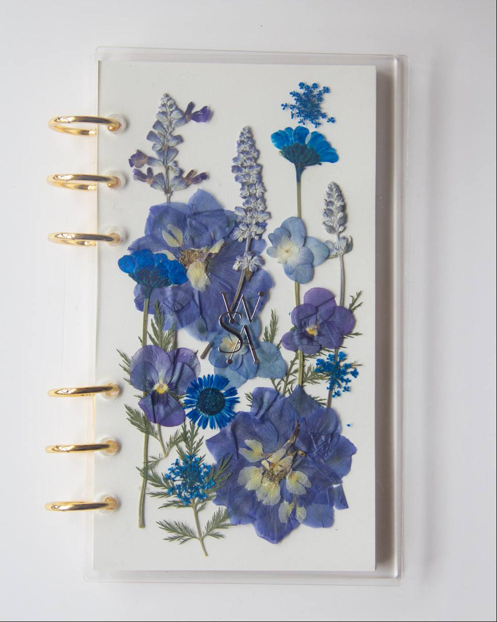 Specimen of Calmness