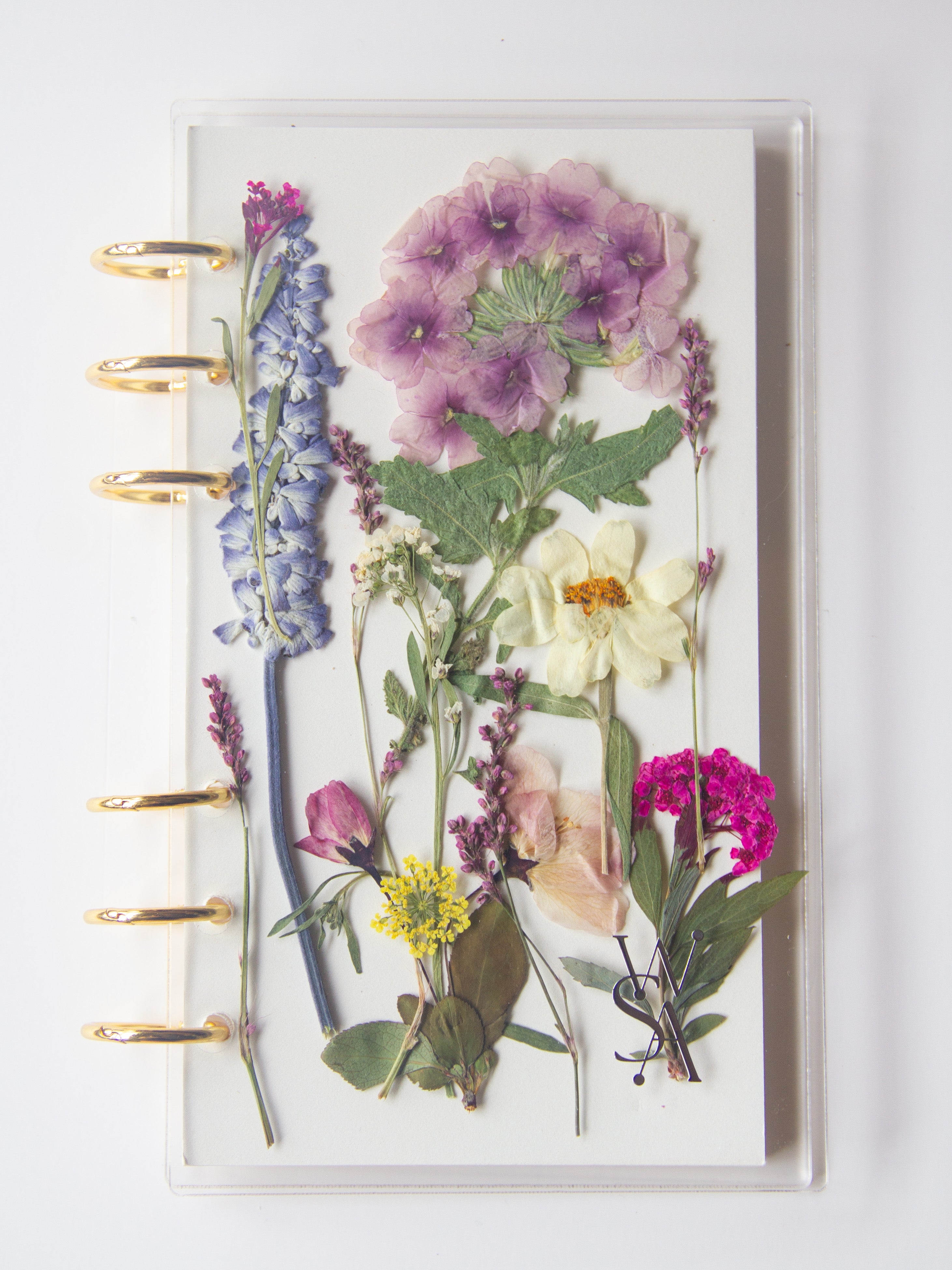 True Emotions Of A Wallflower