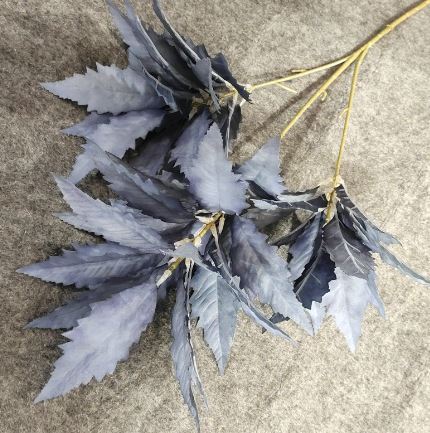 Chinese Astilbe Leaves