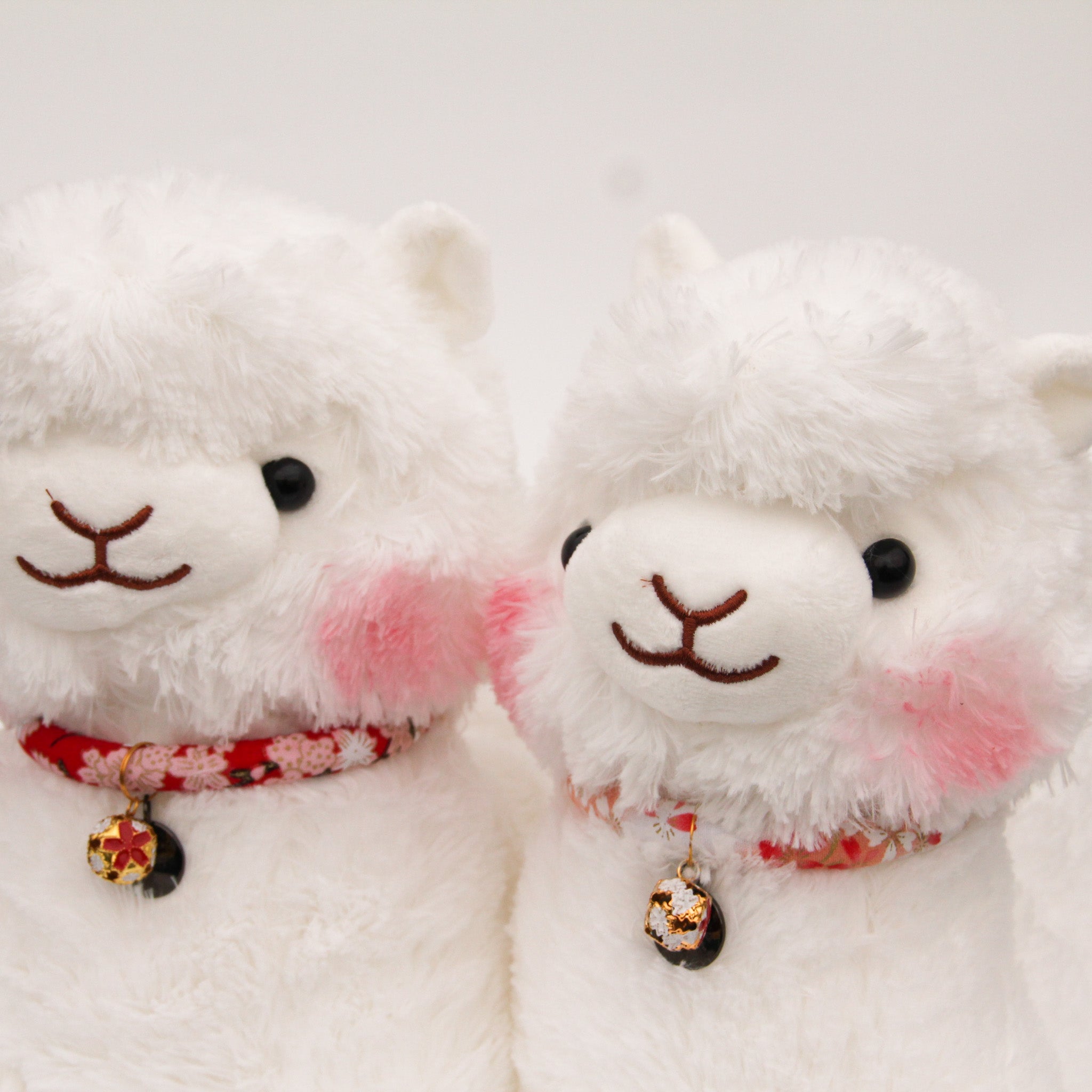 Hanami Asahi San Jr Alpaca (Red)