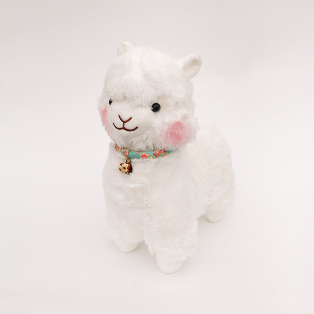 Hanami Chi San Jr Alpaca (Turquoise)