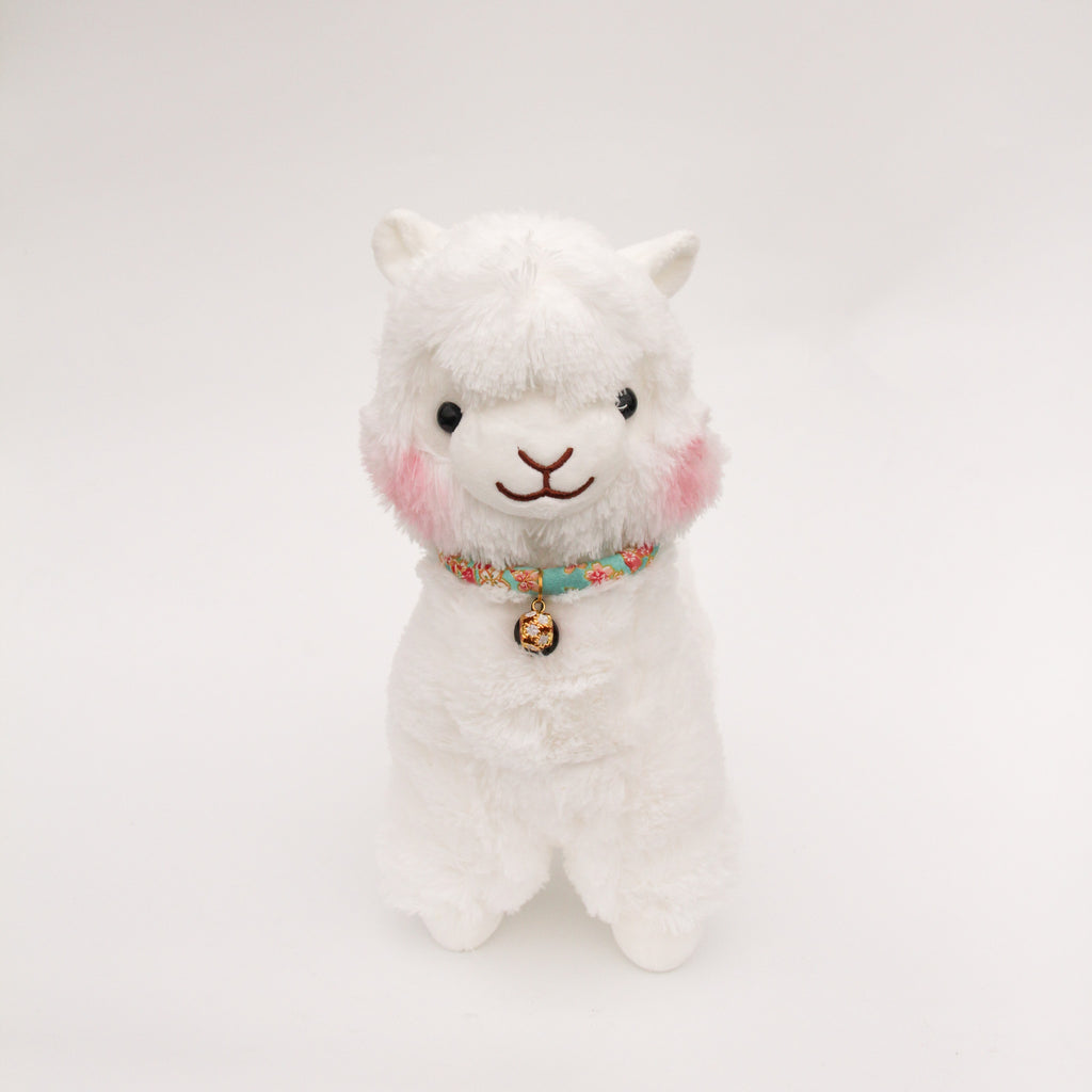 Hanami Chi San Jr Alpaca (Turquoise)