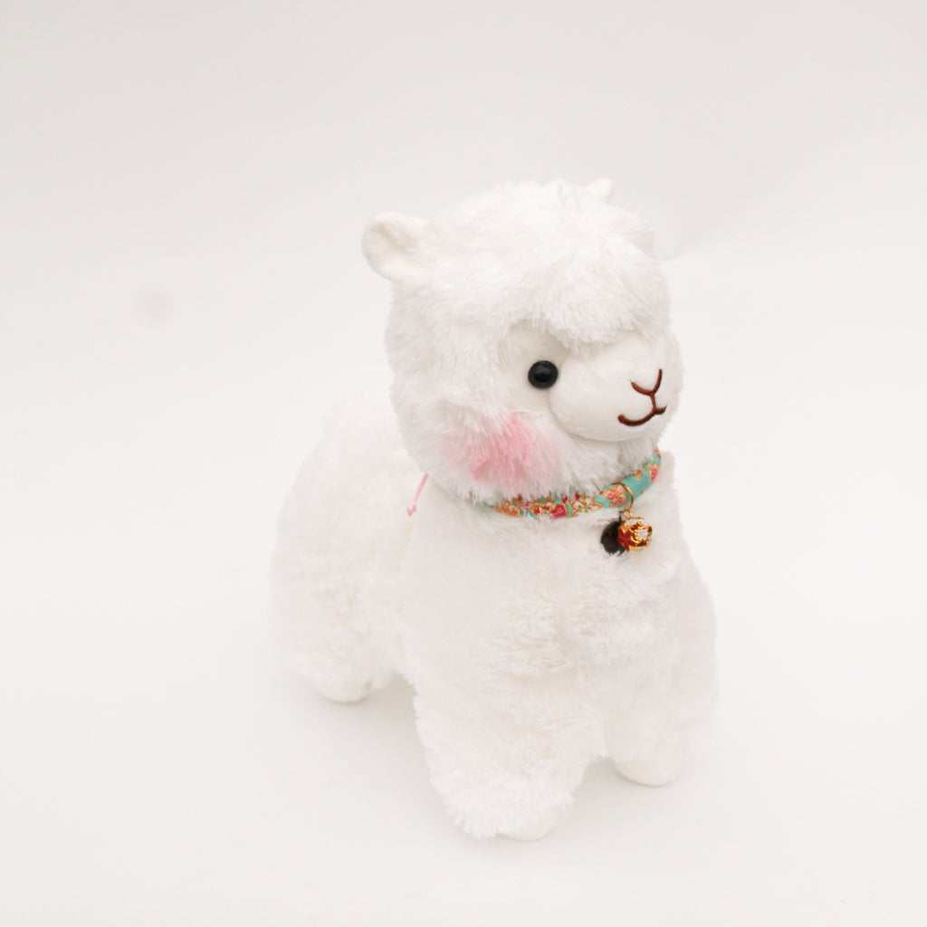 Hanami Chi San Jr Alpaca (Turquoise)