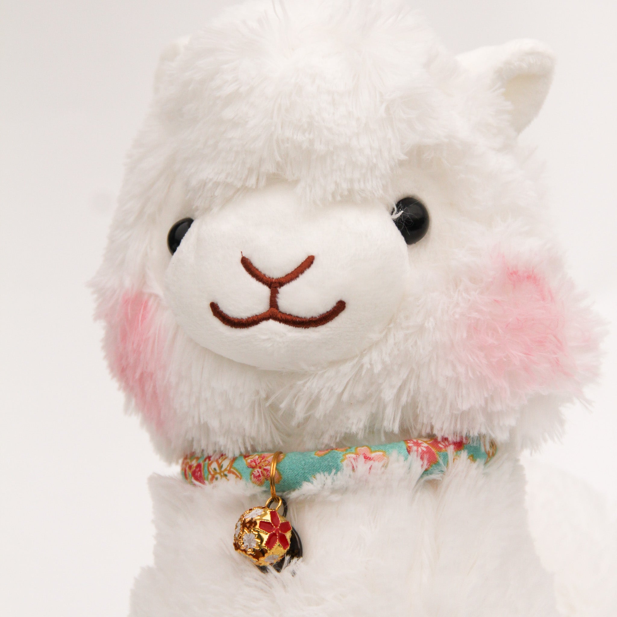 Hanami Chi San Jr Alpaca (Turquoise)