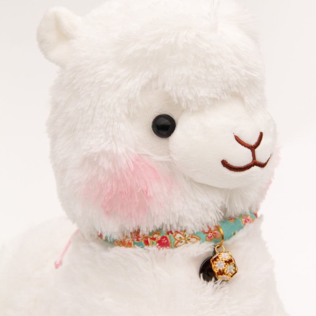 Hanami Chi San Jr Alpaca (Turquoise)