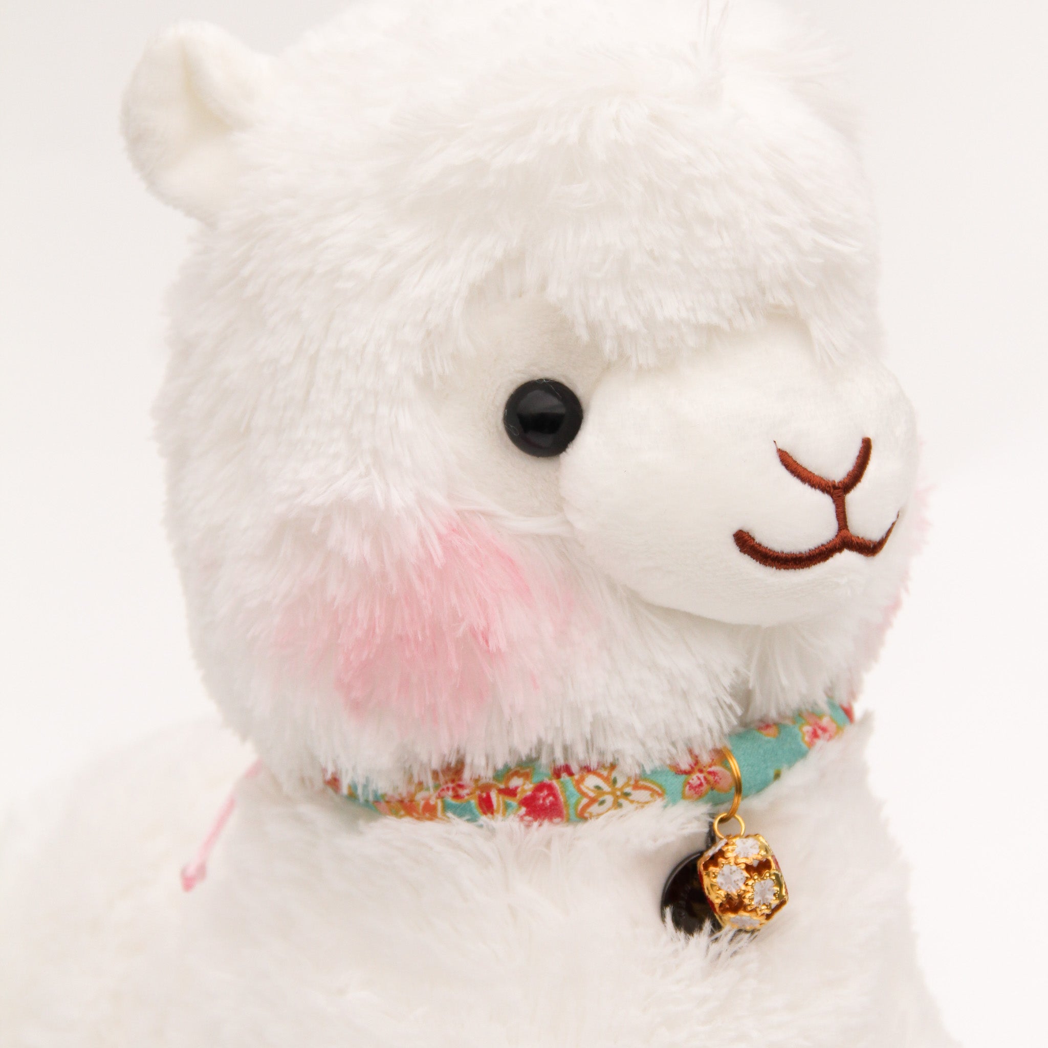 Hanami Chi San Jr Alpaca (Turquoise)