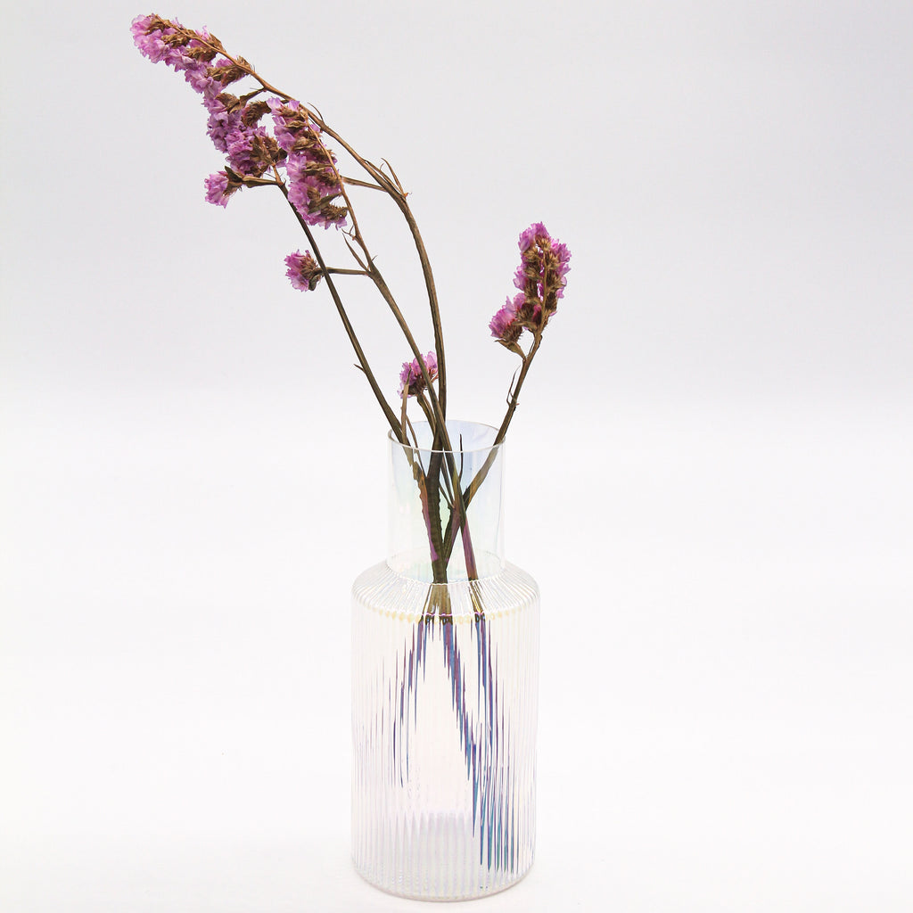 SITULA Iridescent Multipurpose Glass Set