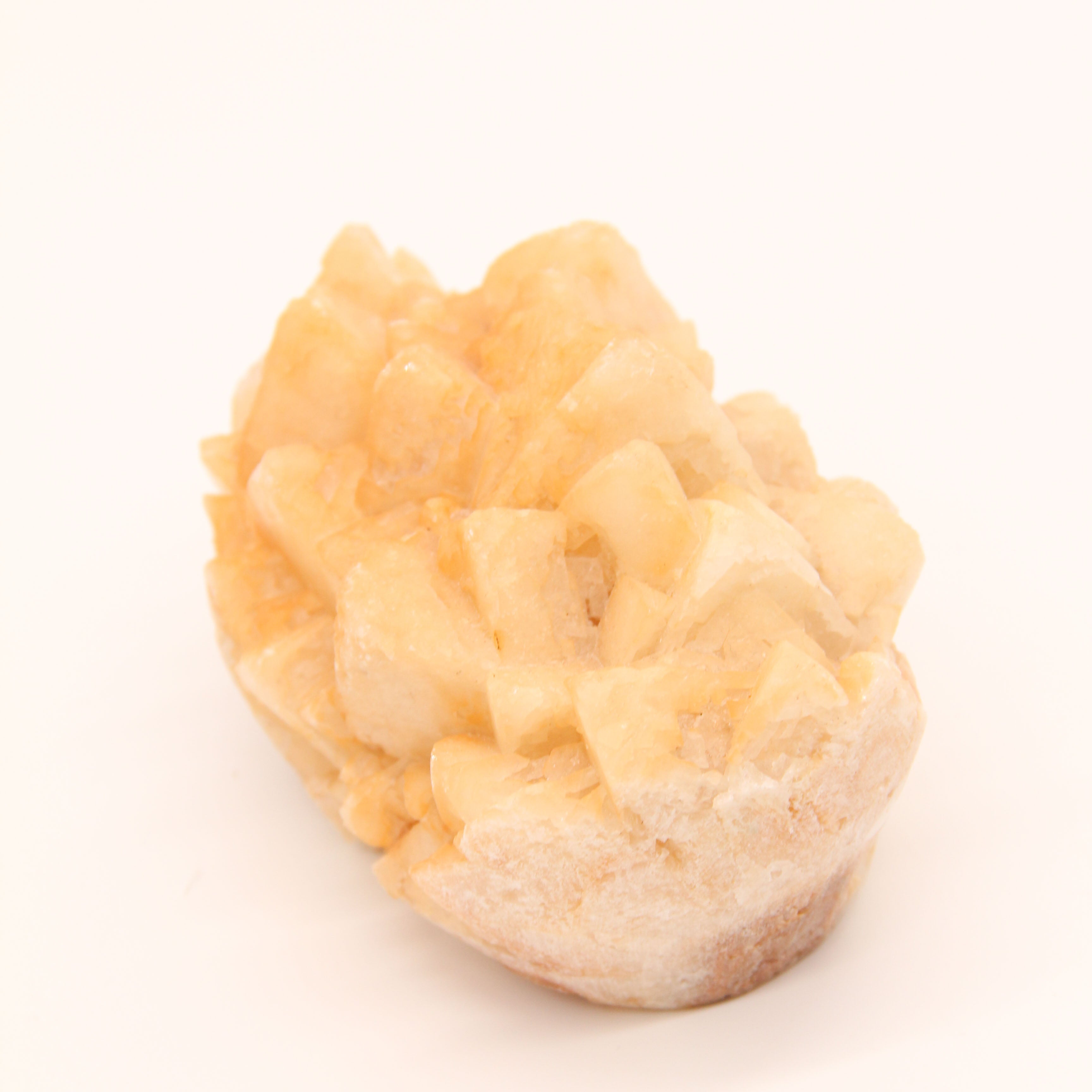 Leo Crystal Set (Stress Relief)