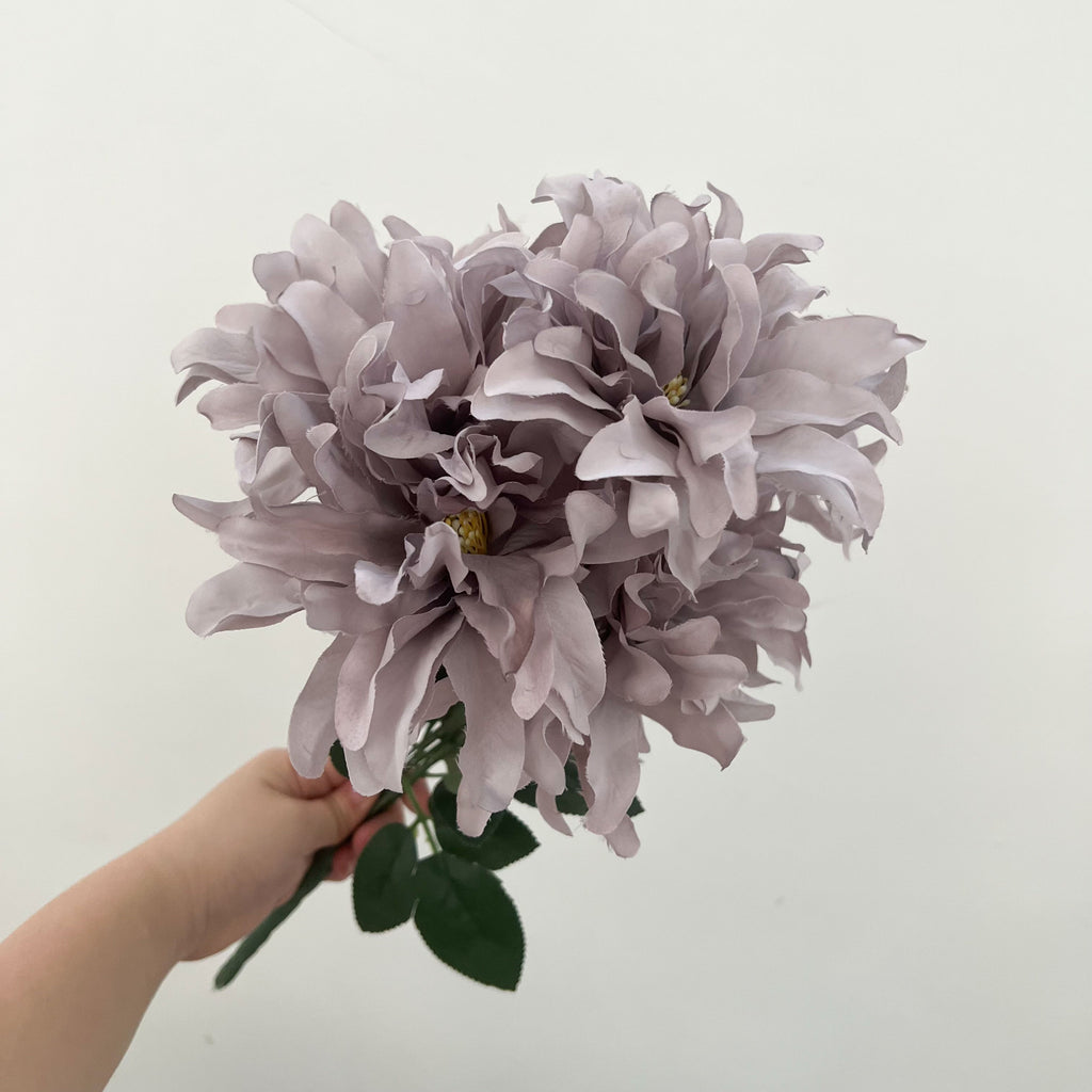 Dinnerplate Dahlia Flowers