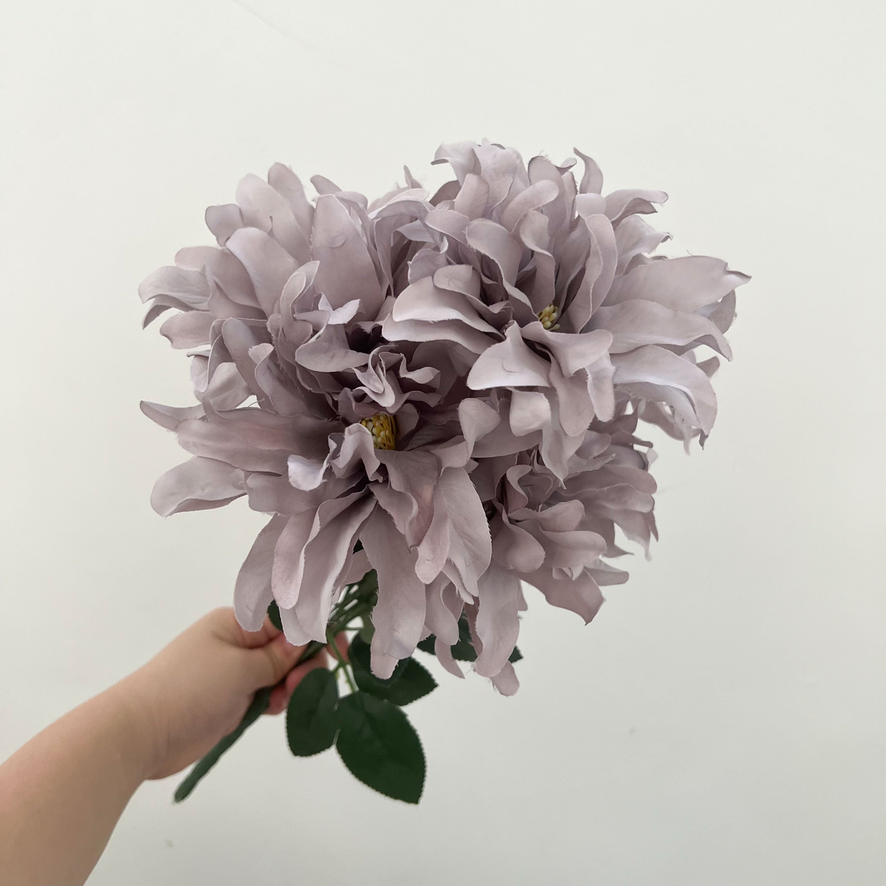 Dinnerplate Dahlia Flowers