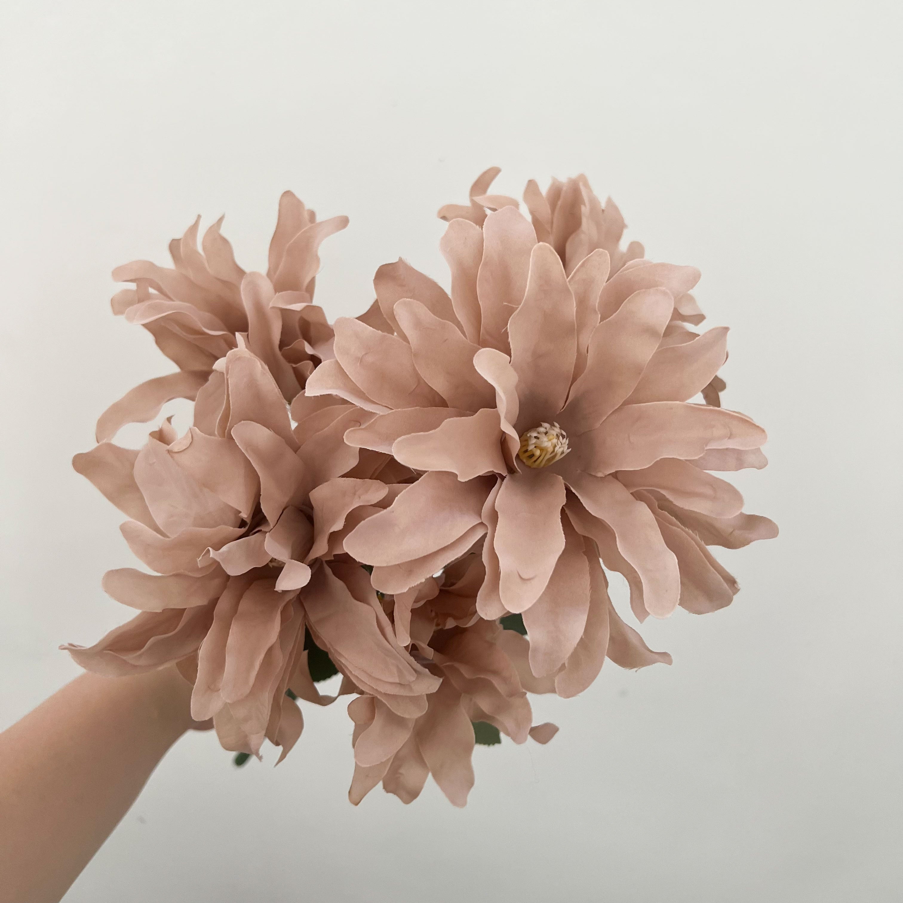 Dinnerplate Dahlia Flowers