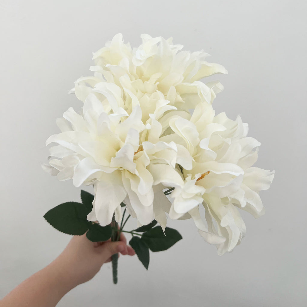 Dinnerplate Dahlia Flowers