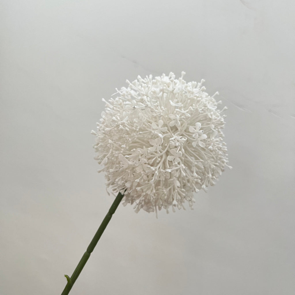 Giant Allium Flowers