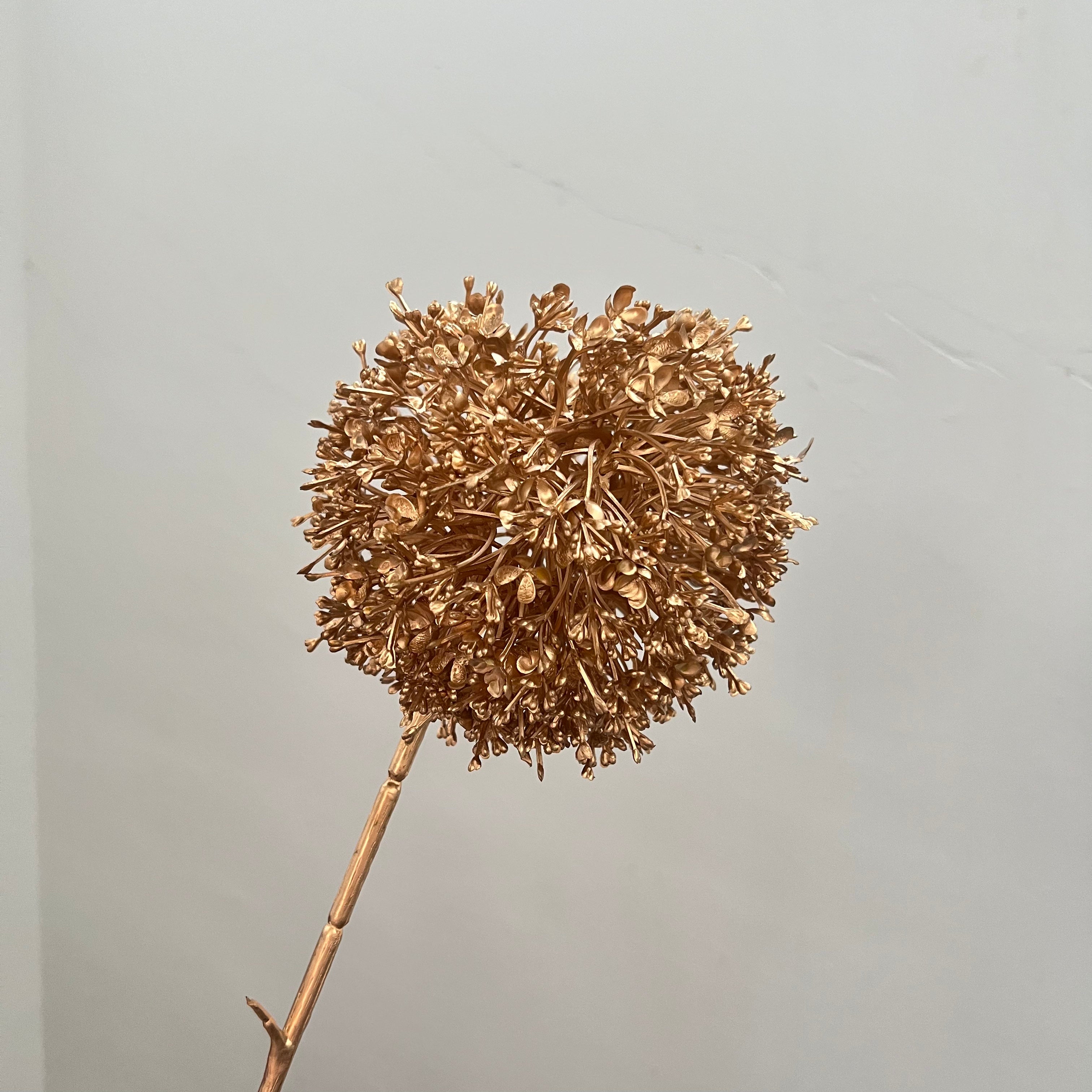 Giant Allium Flowers