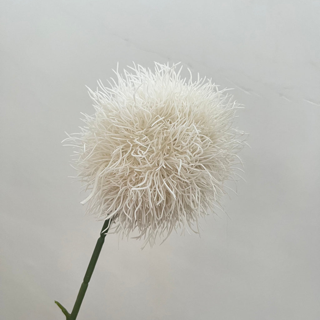 Salsify Dandelion Flowers