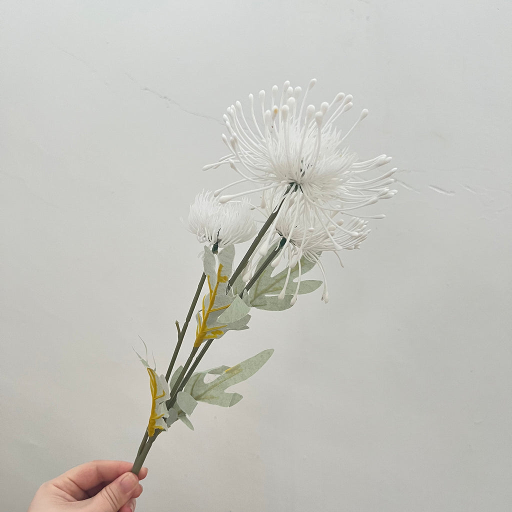 Pincushions Flowers