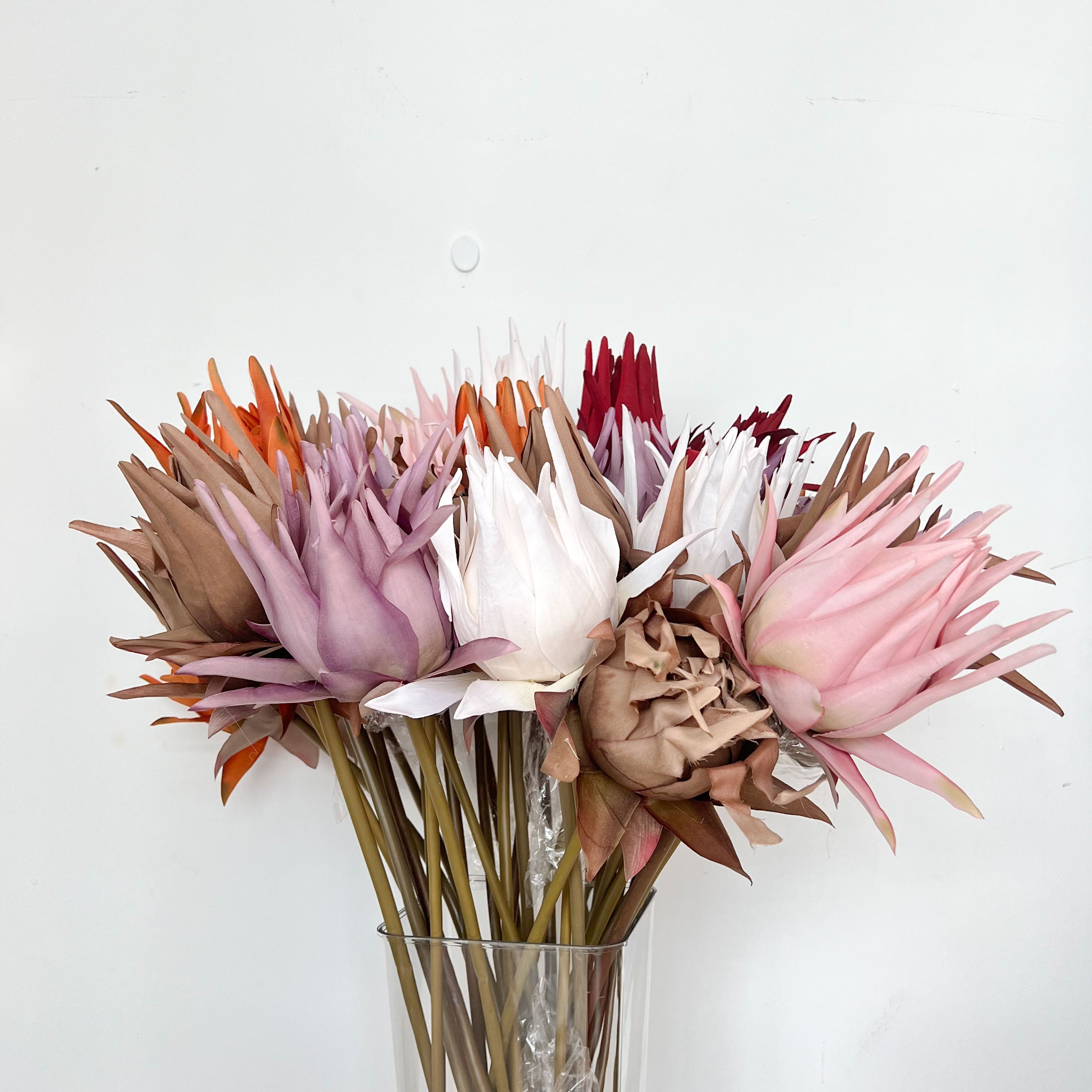 King Protea Flowers
