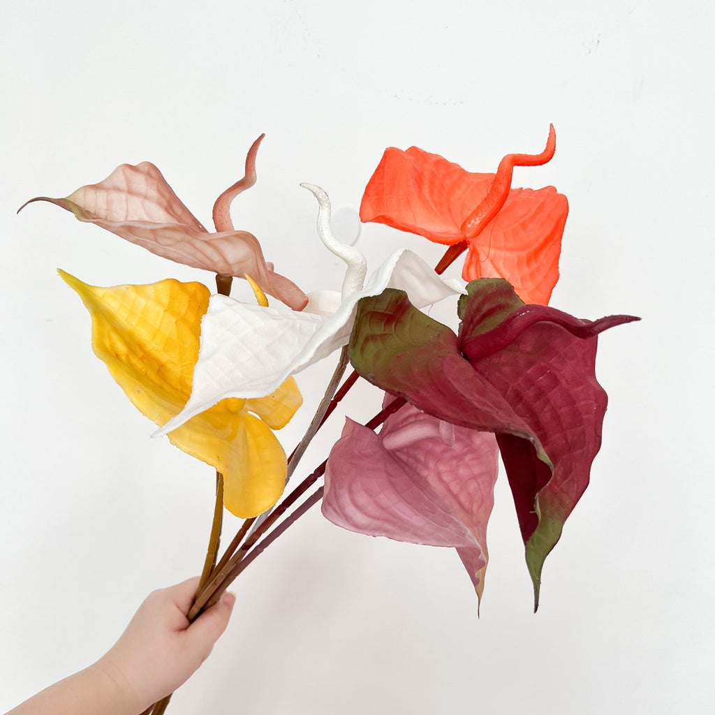 Painter's palette Flowers