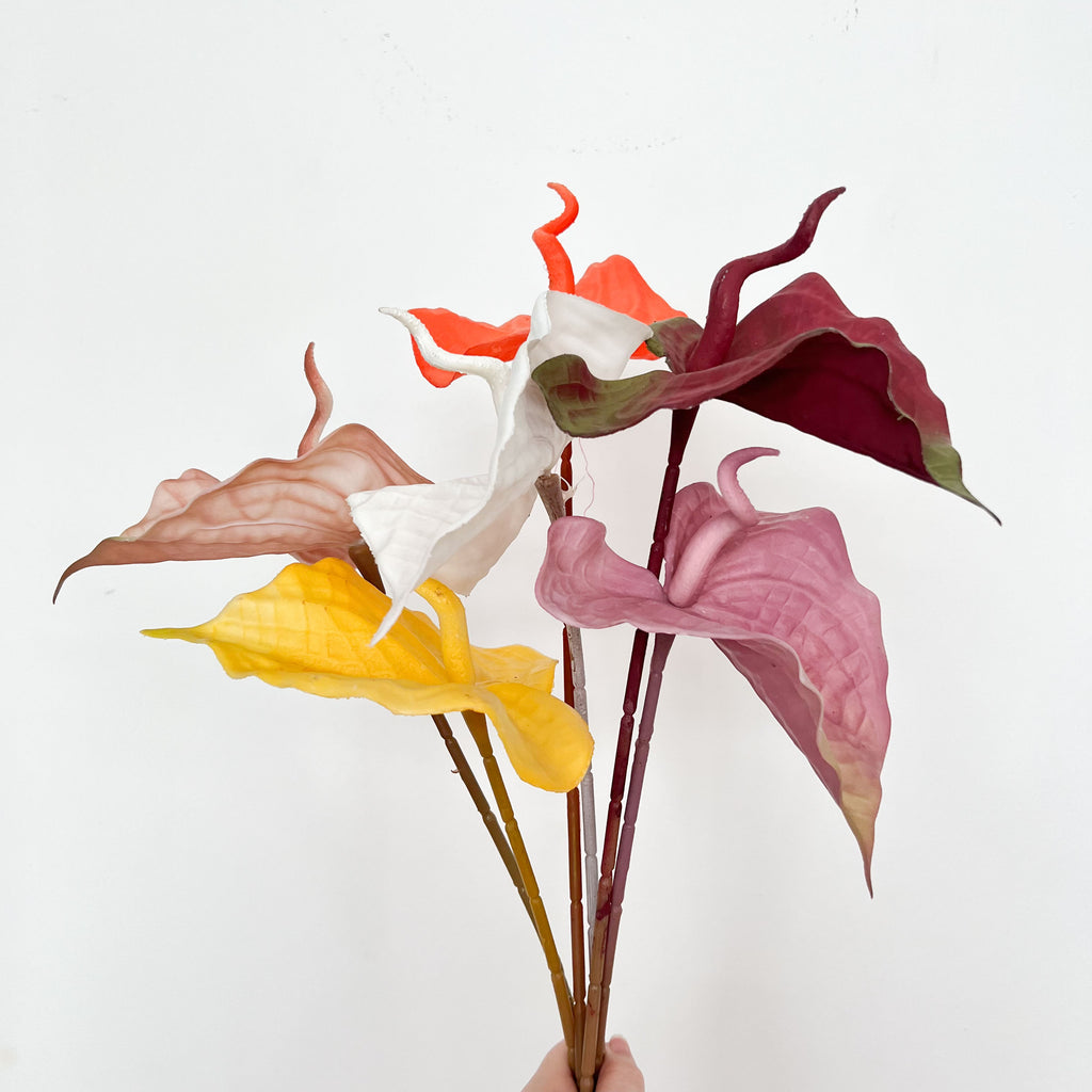 Painter's palette Flowers