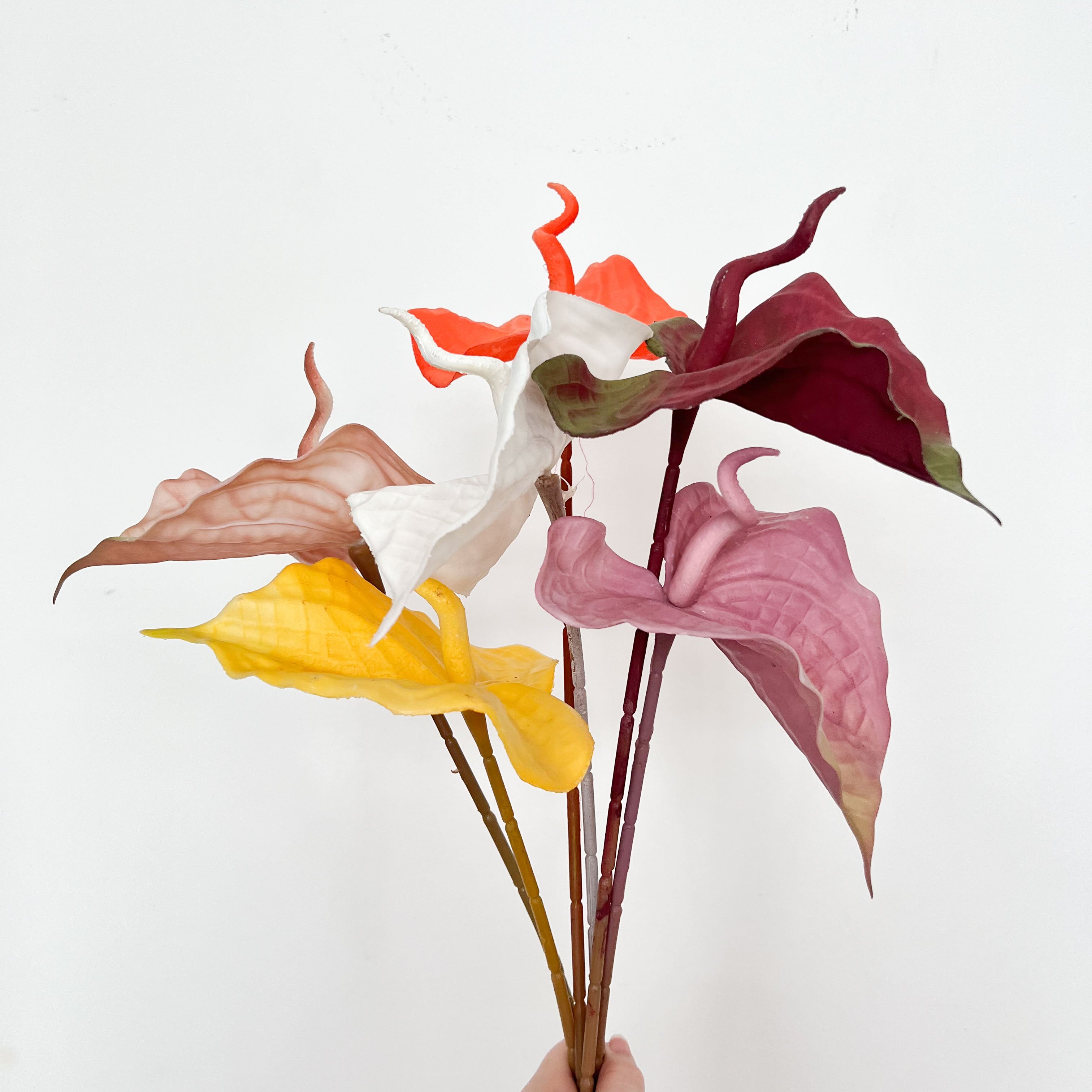 Painter's palette Flowers