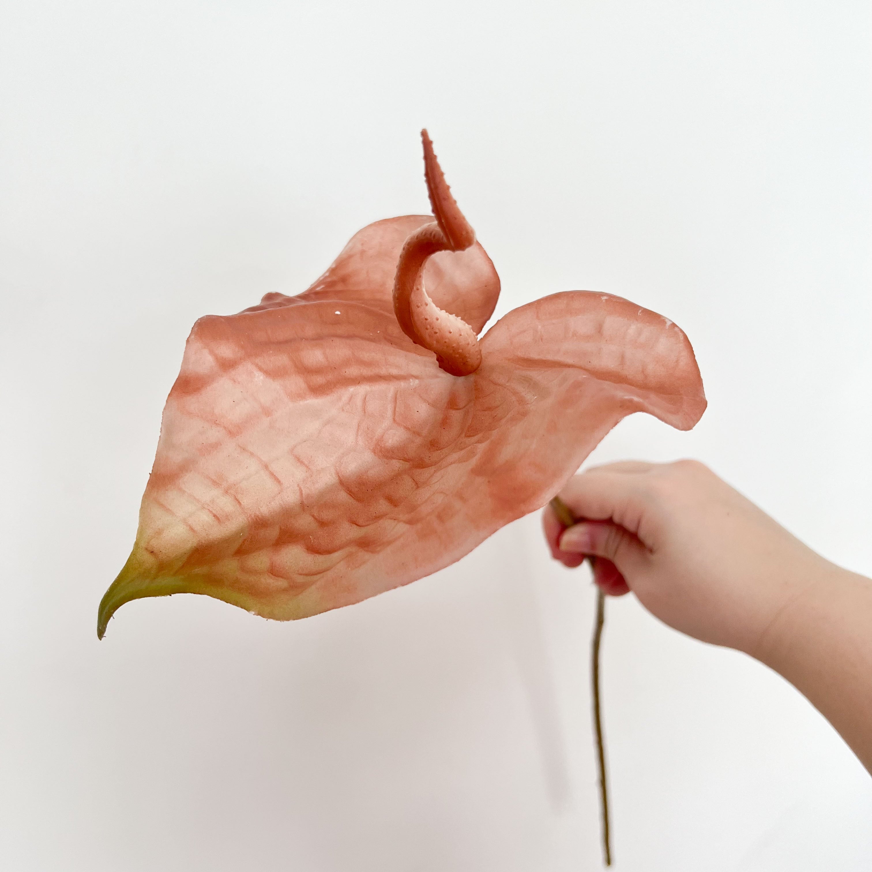 Painter's palette Flowers