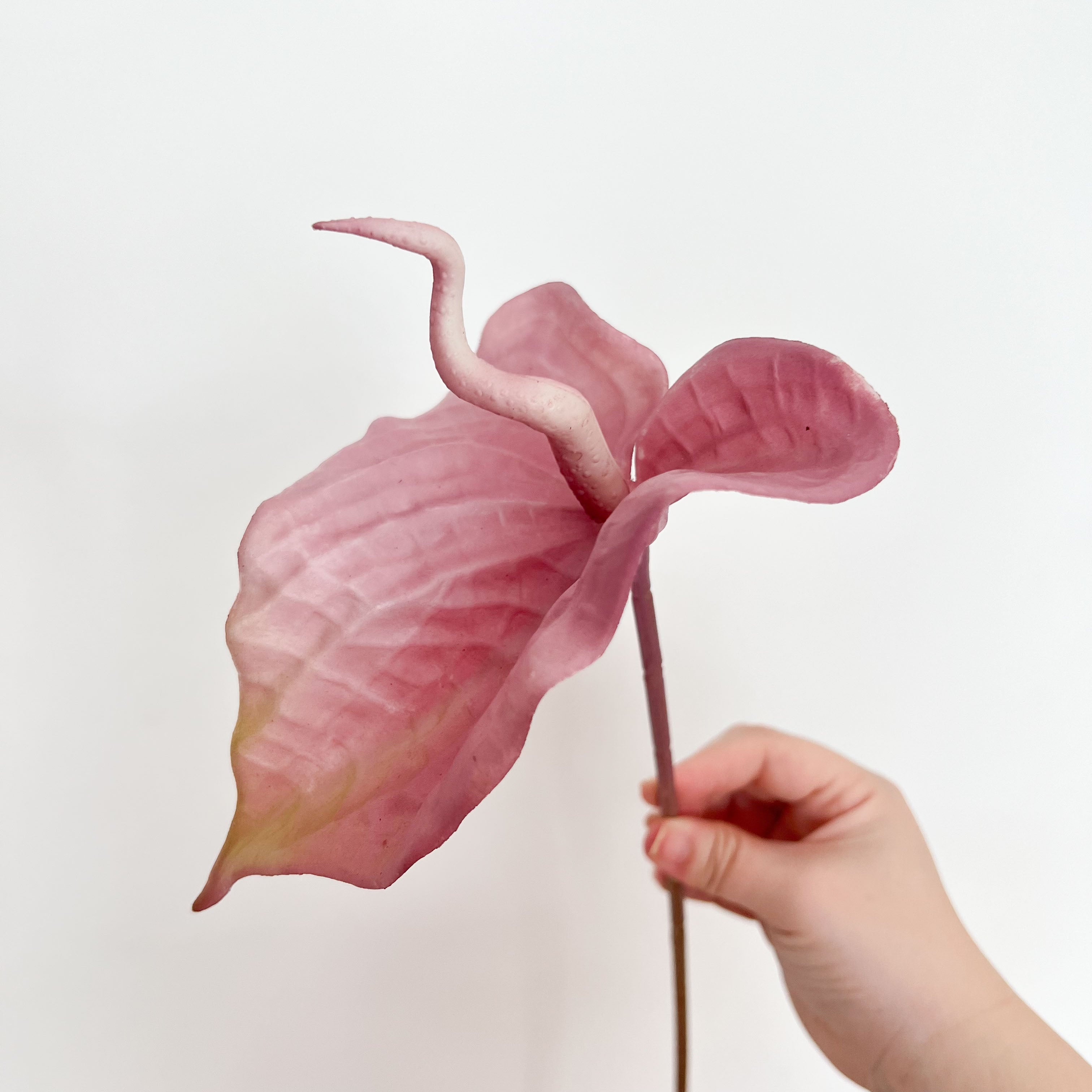 Painter's palette Flowers