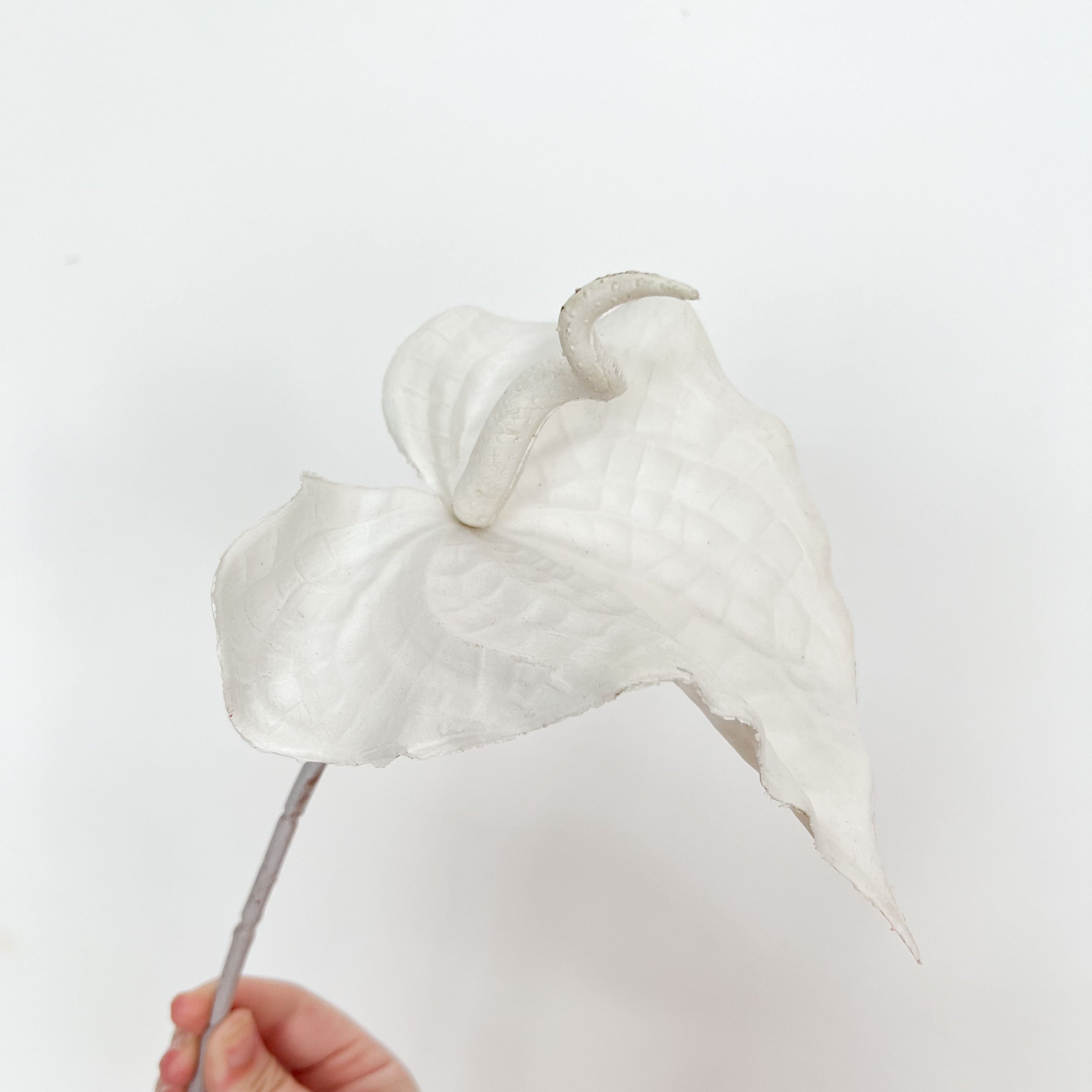 Painter's palette Flowers