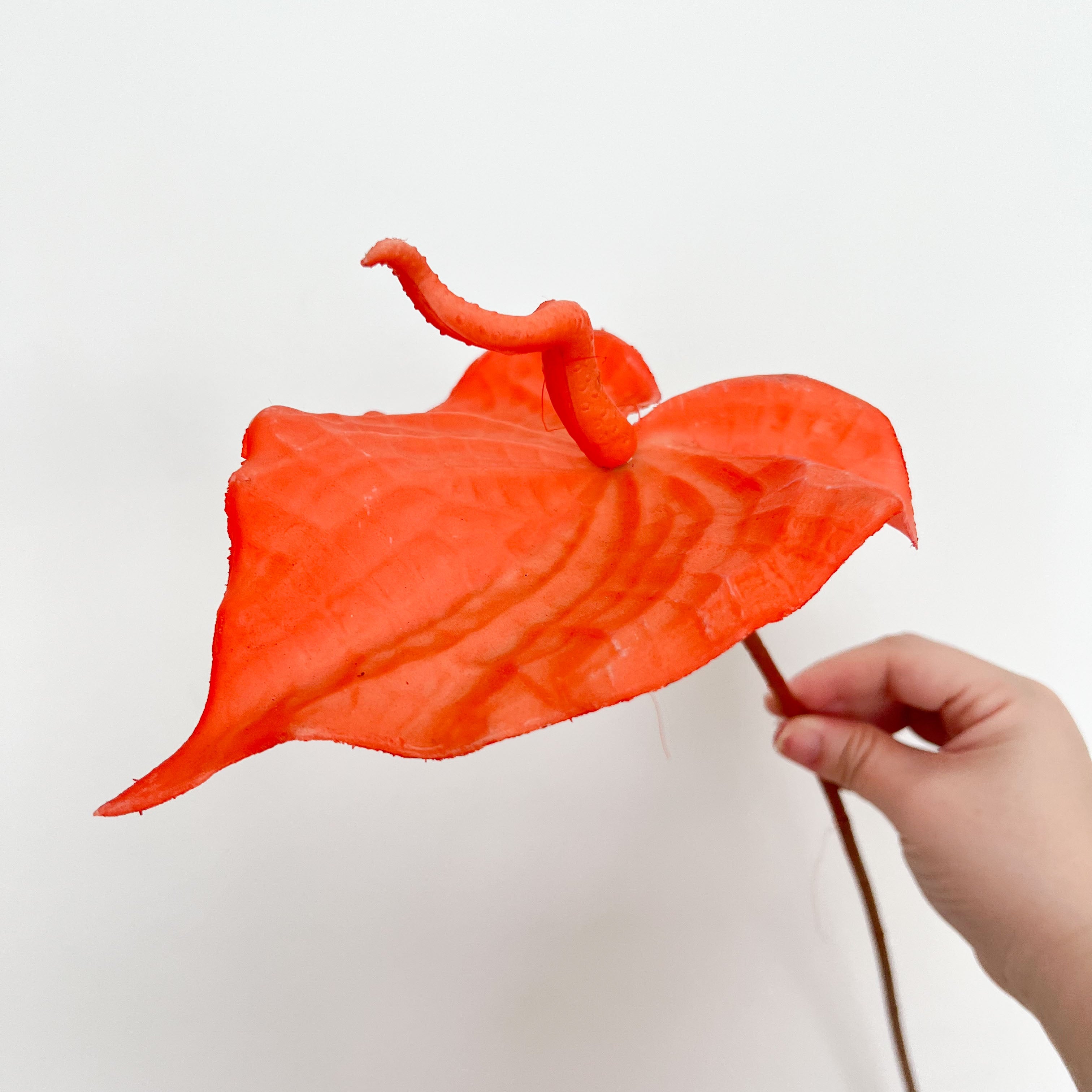 Painter's palette Flowers