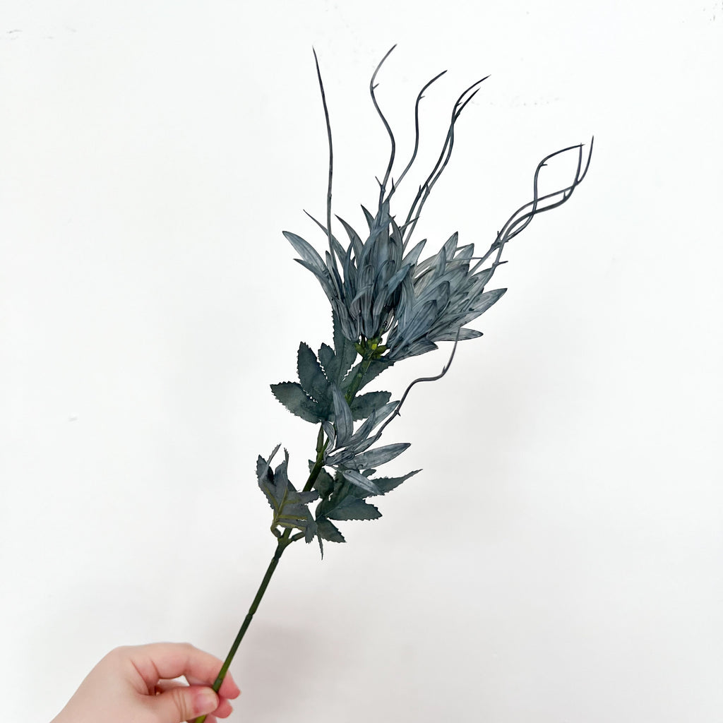 Dutchman's Pipe Cactus Flowers (2 pcs)