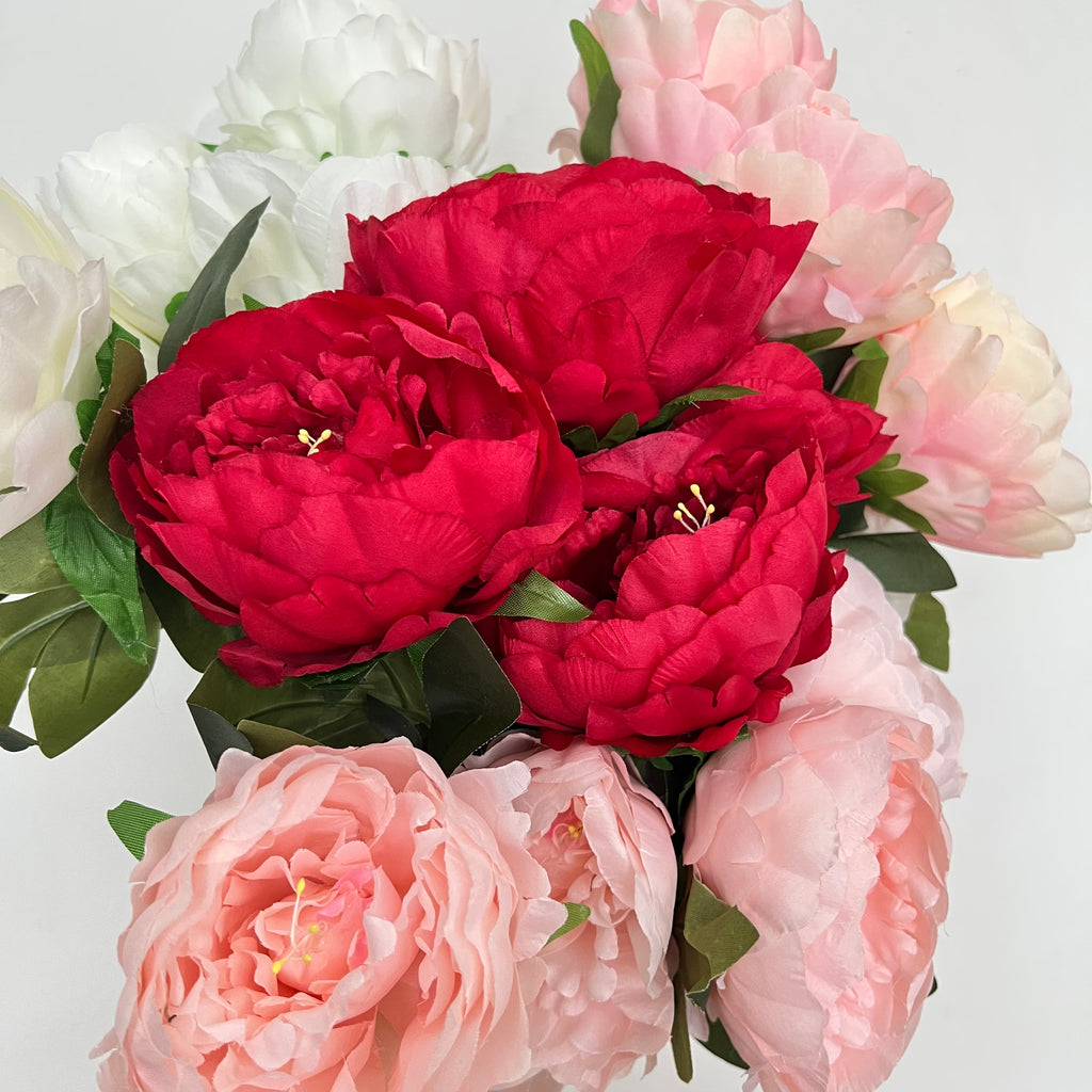 Sarah Bernhardt Peony Flowers