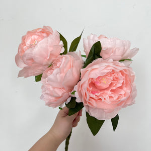 Open image in slideshow, Sarah Bernhardt Peony Flowers
