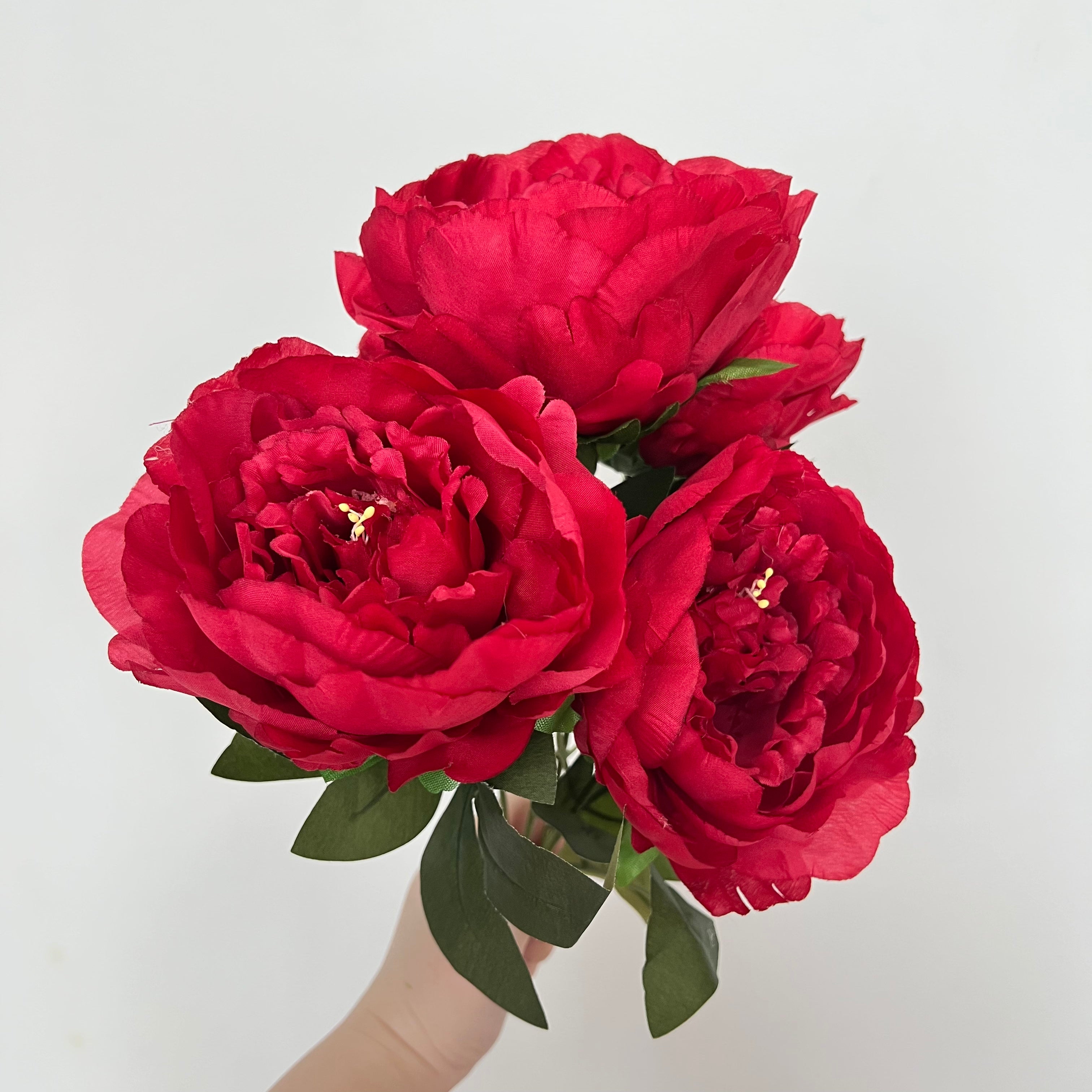 Sarah Bernhardt Peony Flowers