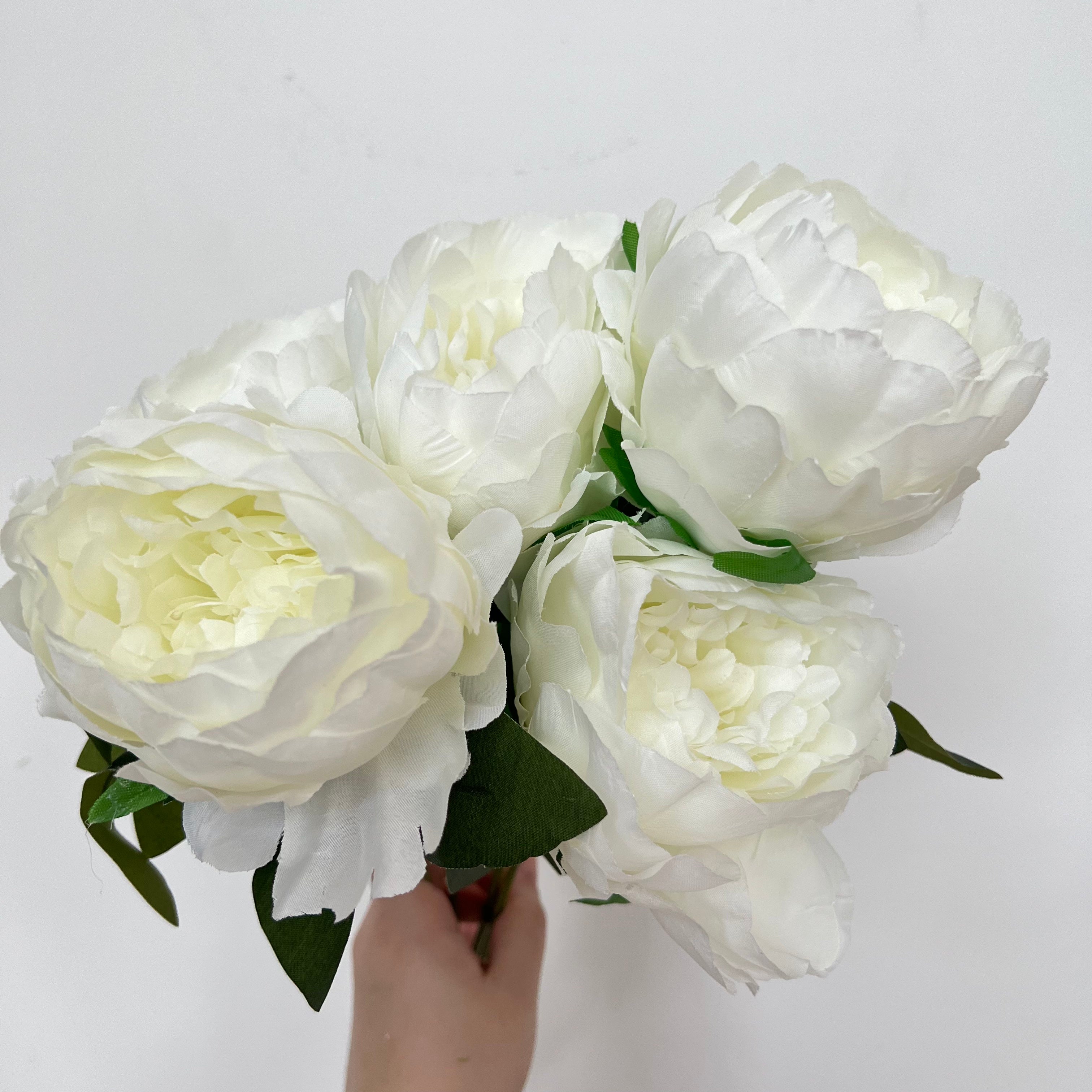 Sarah Bernhardt Peony Flowers