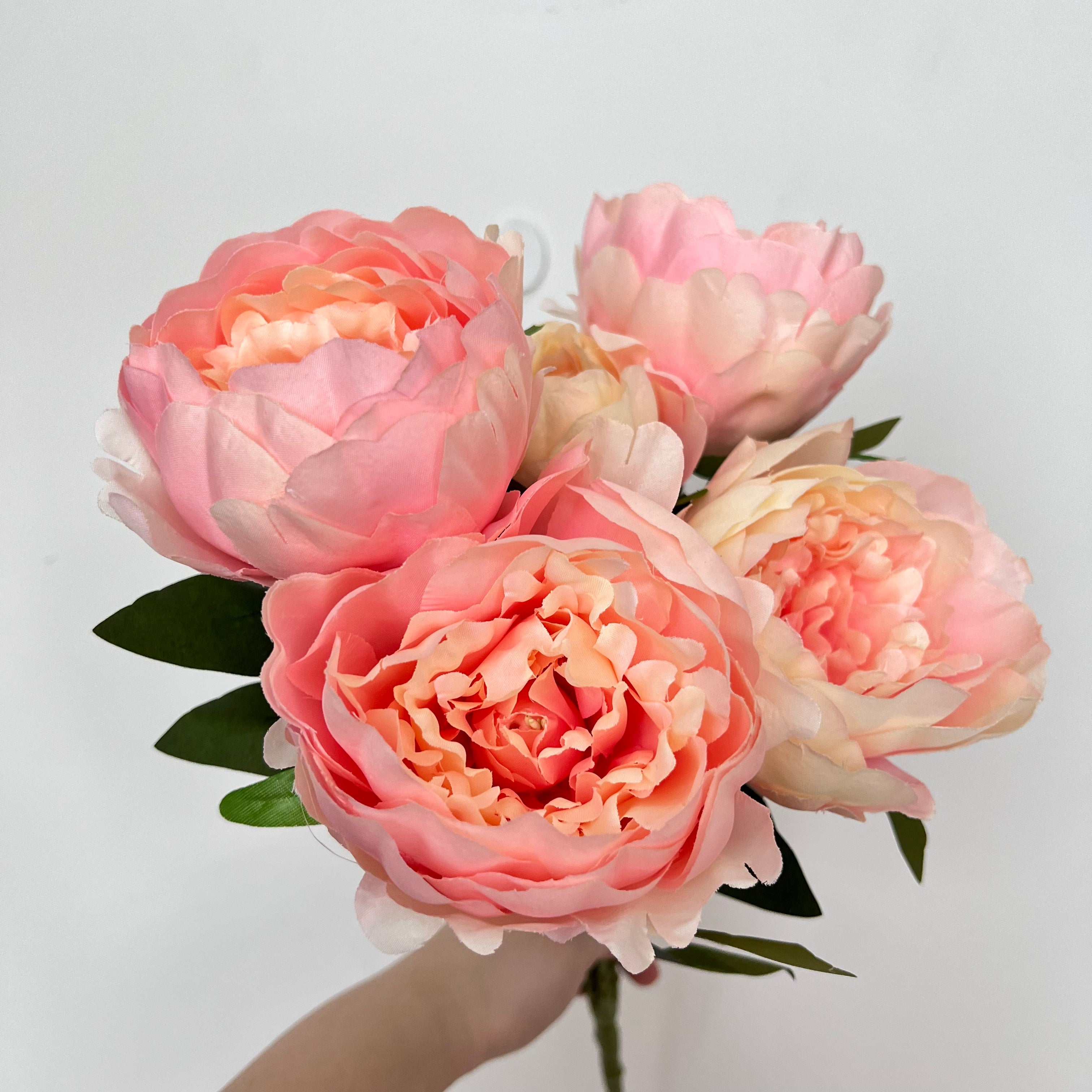 Sarah Bernhardt Peony Flowers