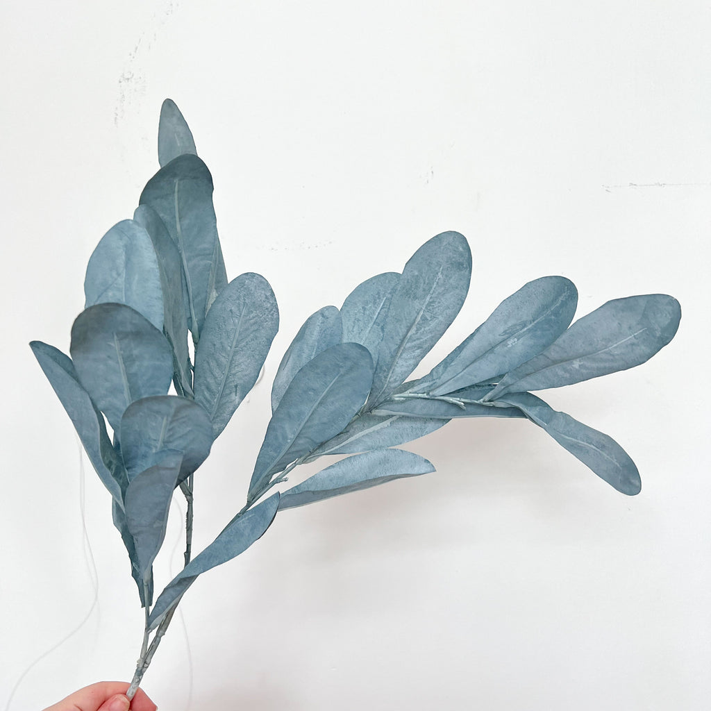 Southern Magnolia Leaves