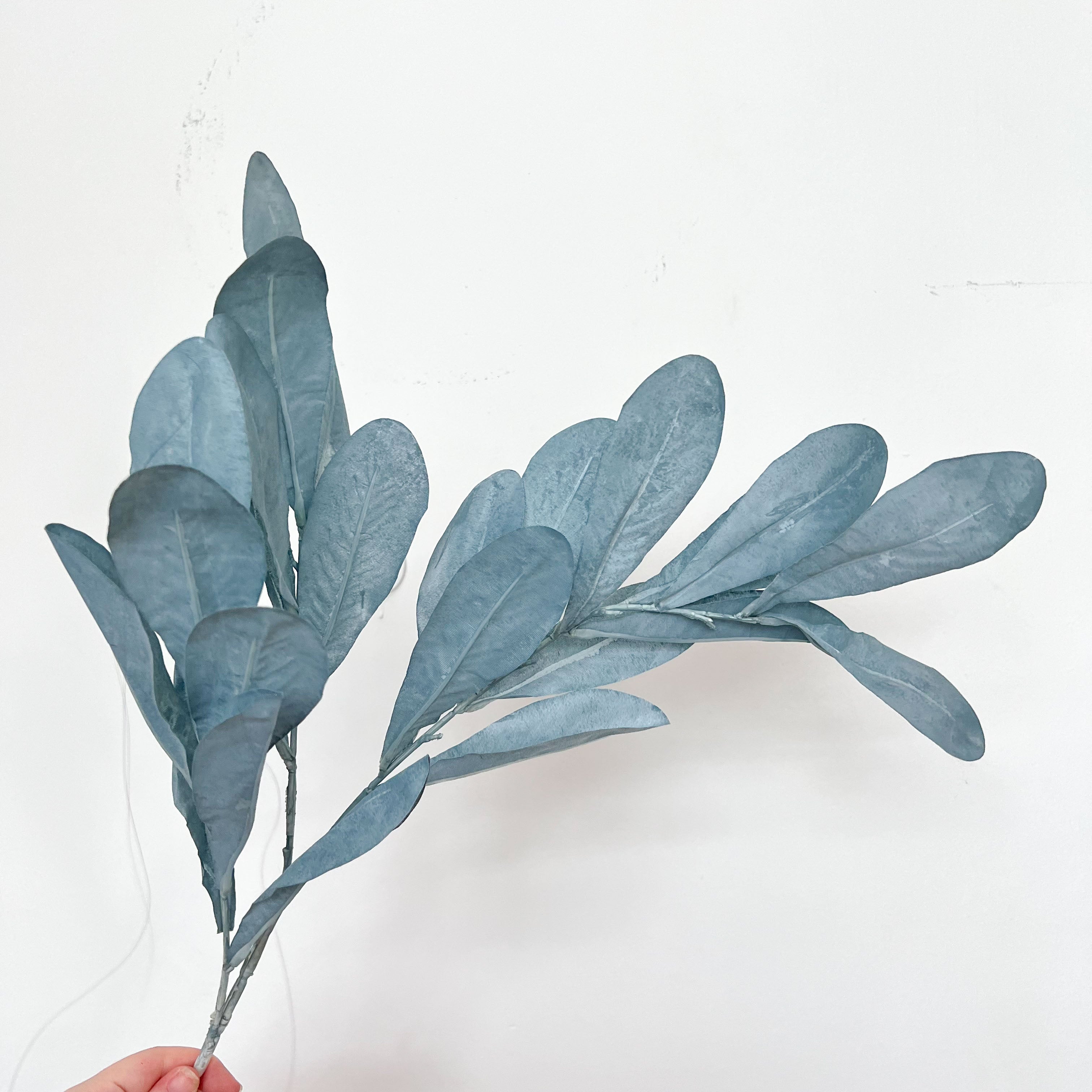 Southern Magnolia Leaves