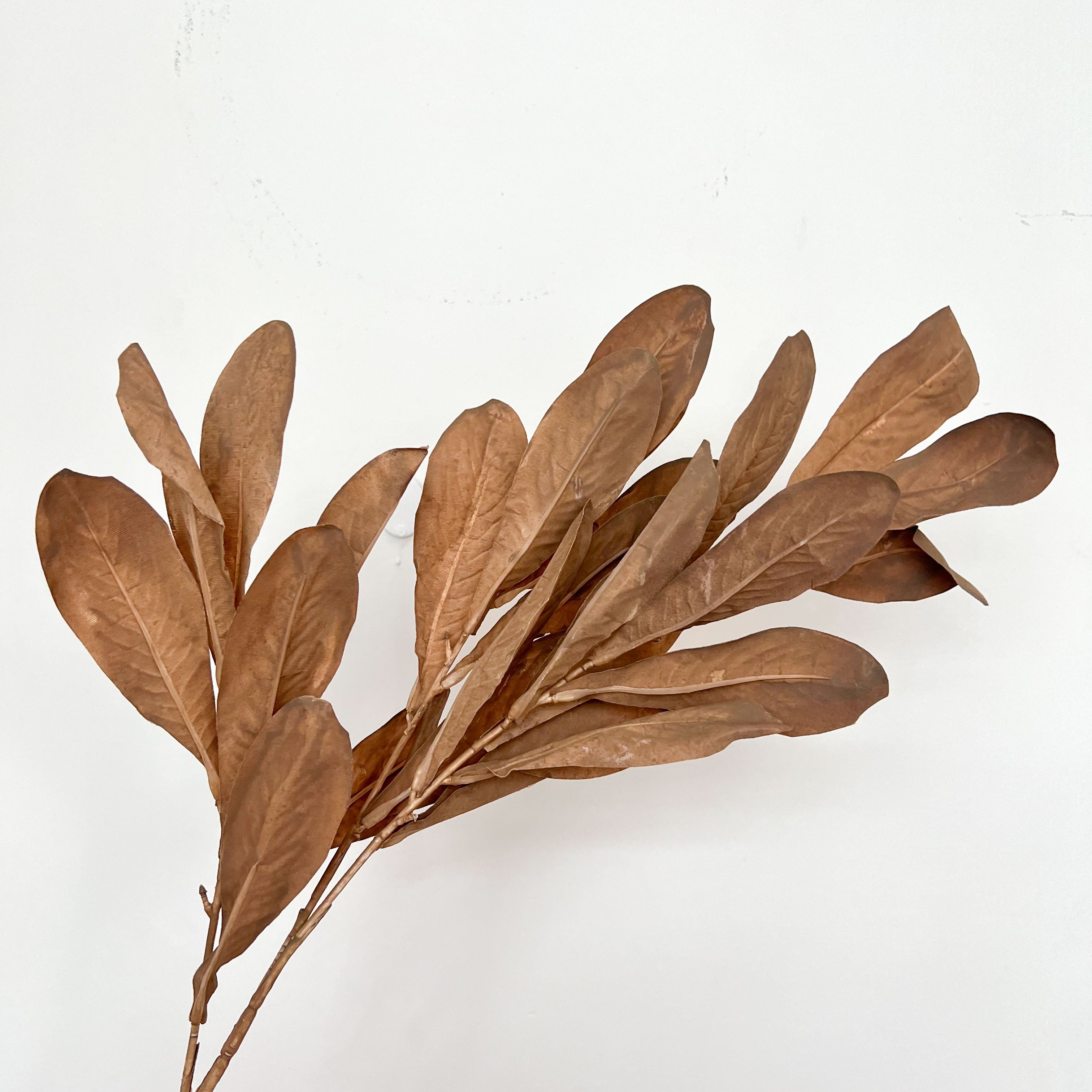 Southern Magnolia Leaves