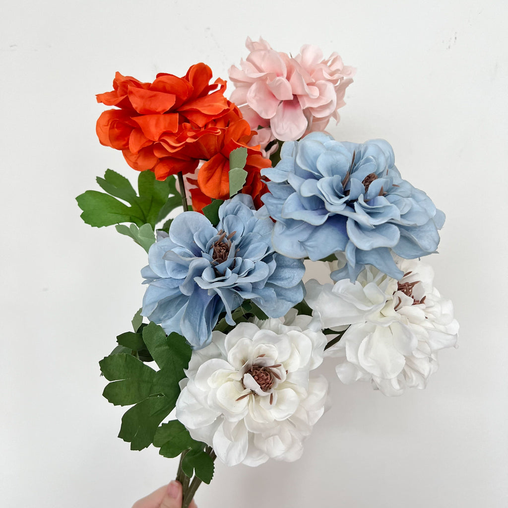 Waterlily Dahlia Flowers