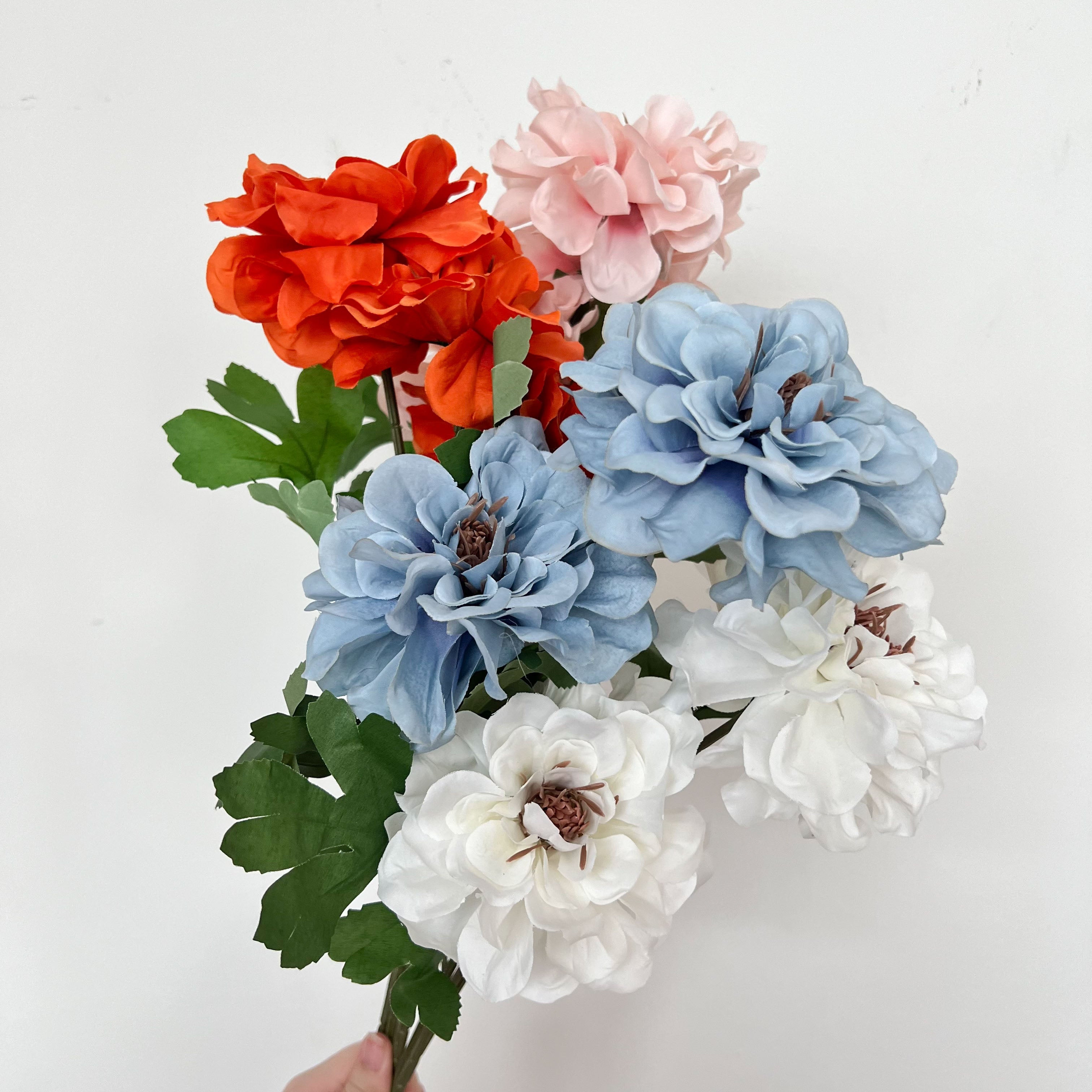 Waterlily Dahlia Flowers