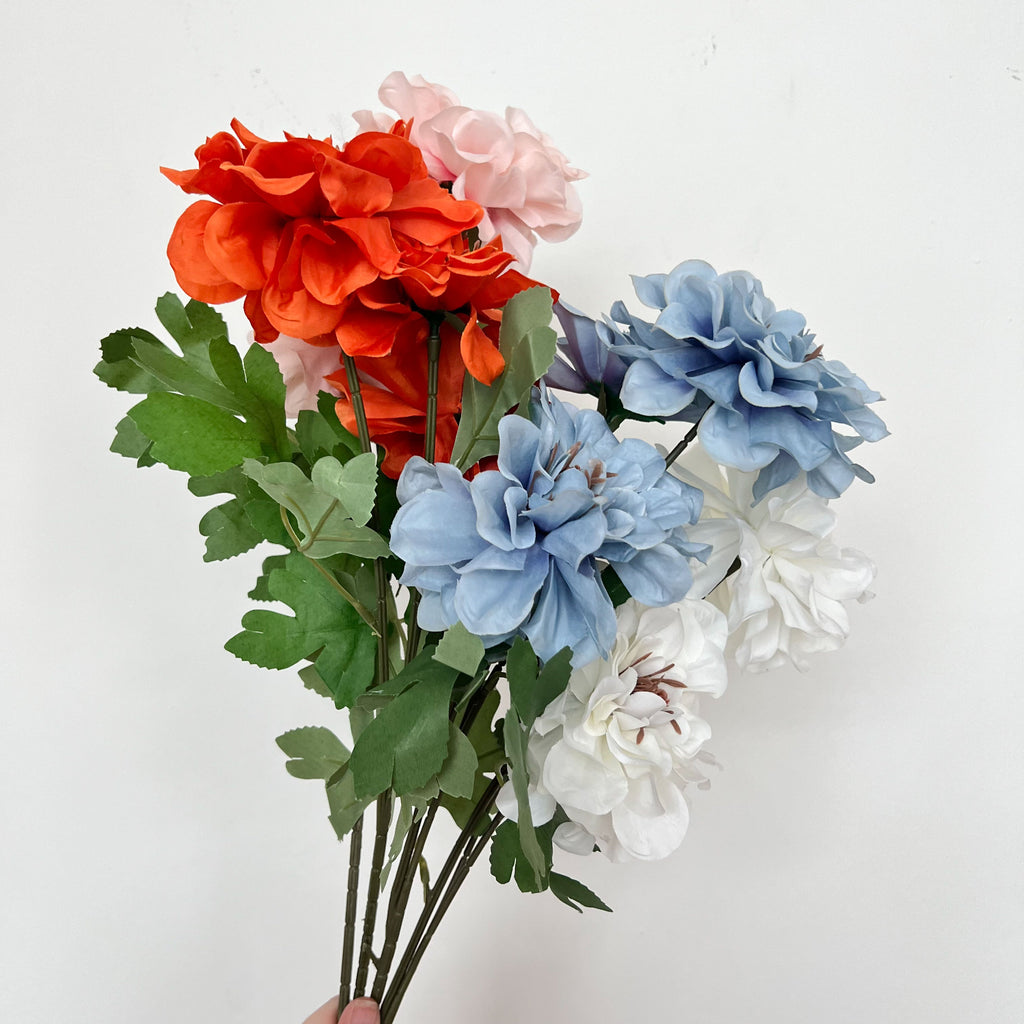 Waterlily Dahlia Flowers