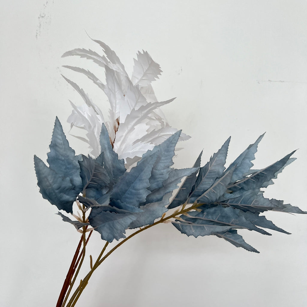 Chinese Astilbe Leaves