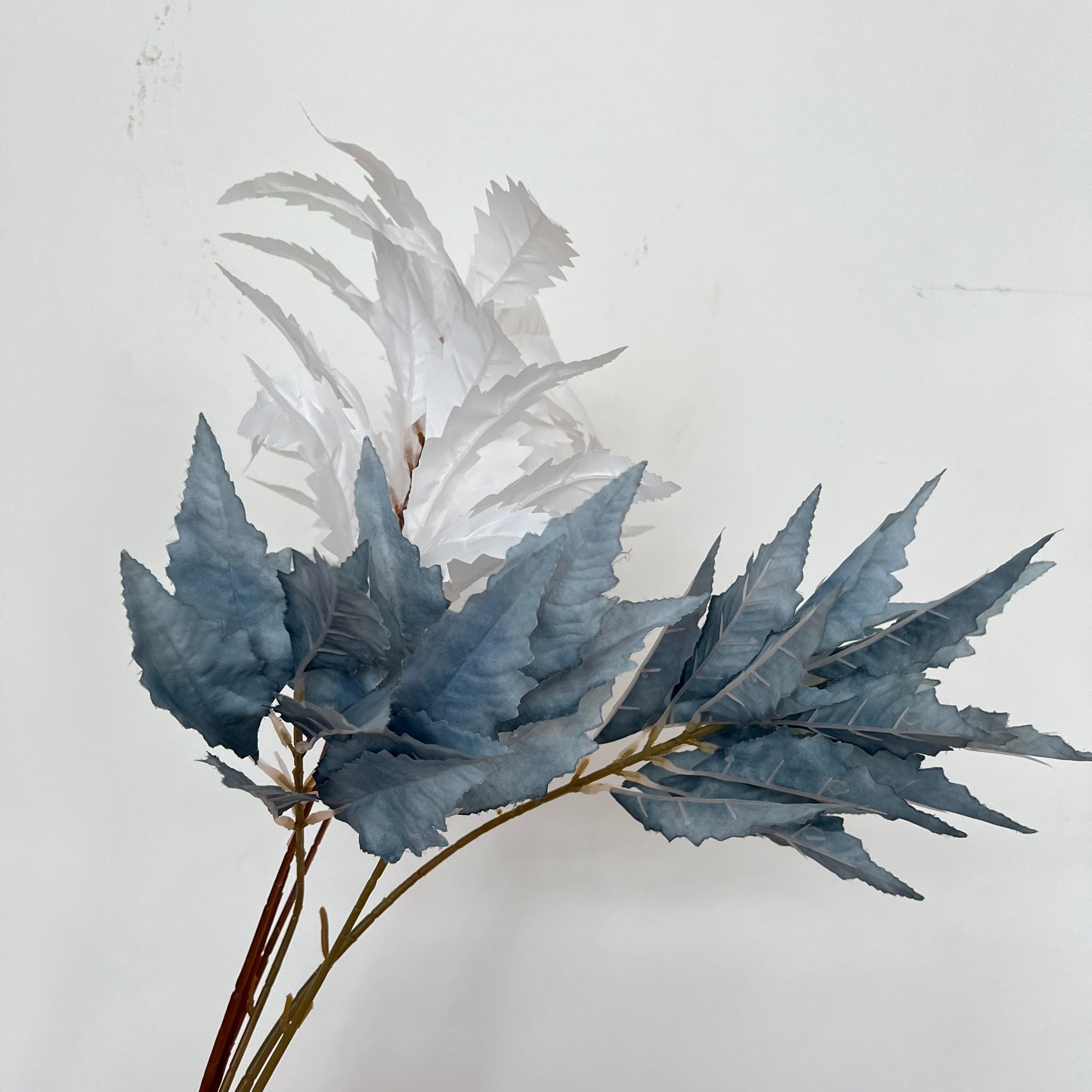 Chinese Astilbe Leaves