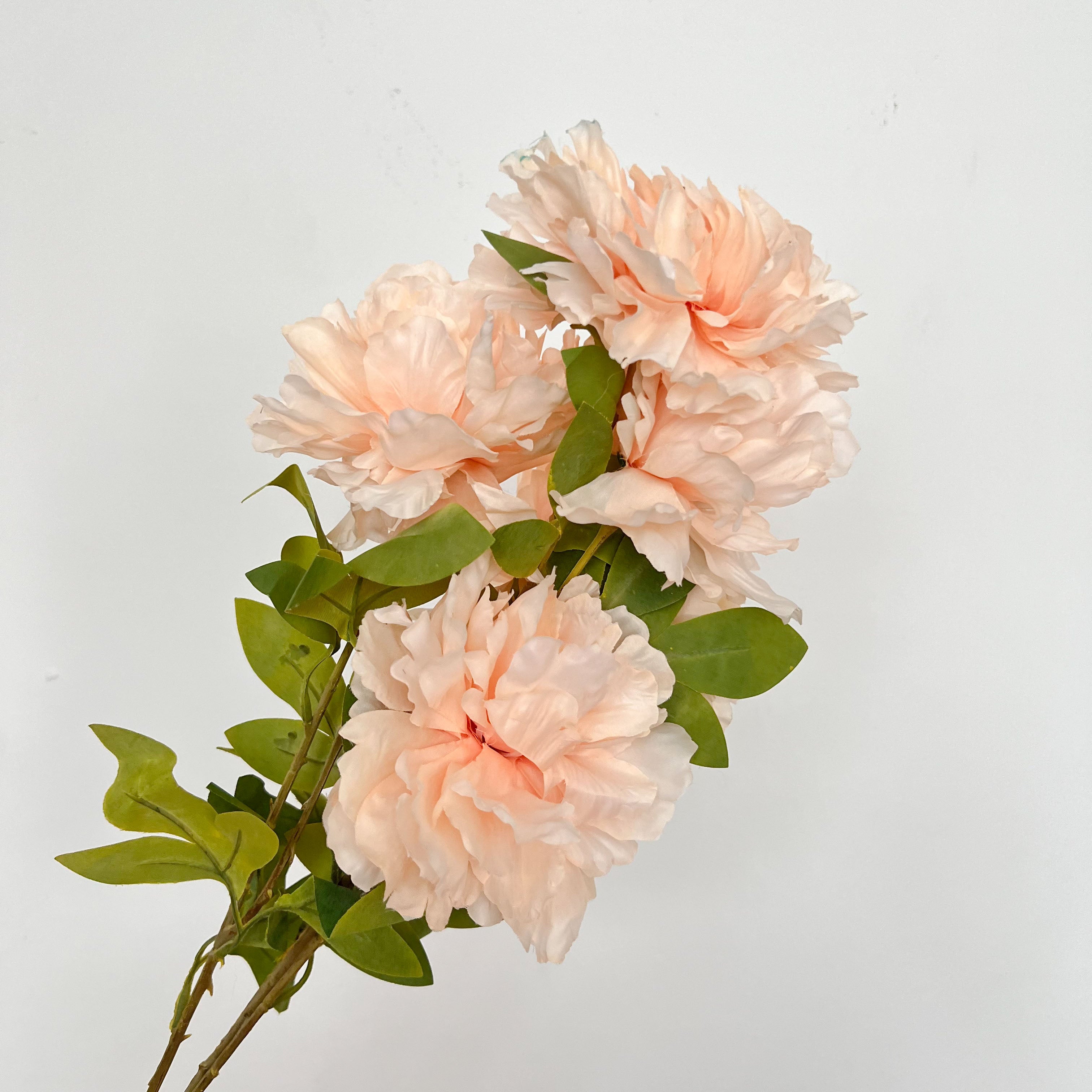 Gardenia Peony Flowers