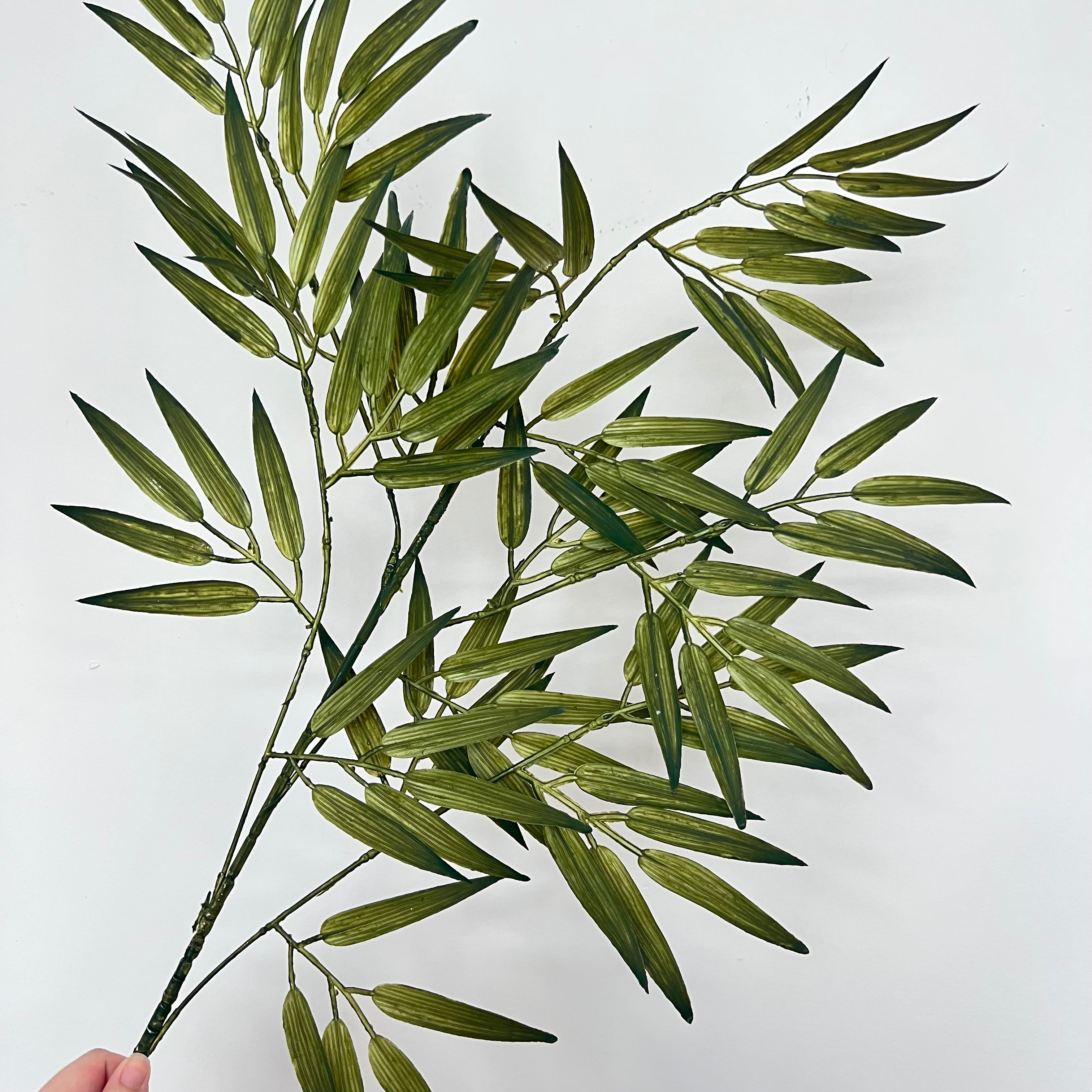 Pygmy Bamboo Leaves