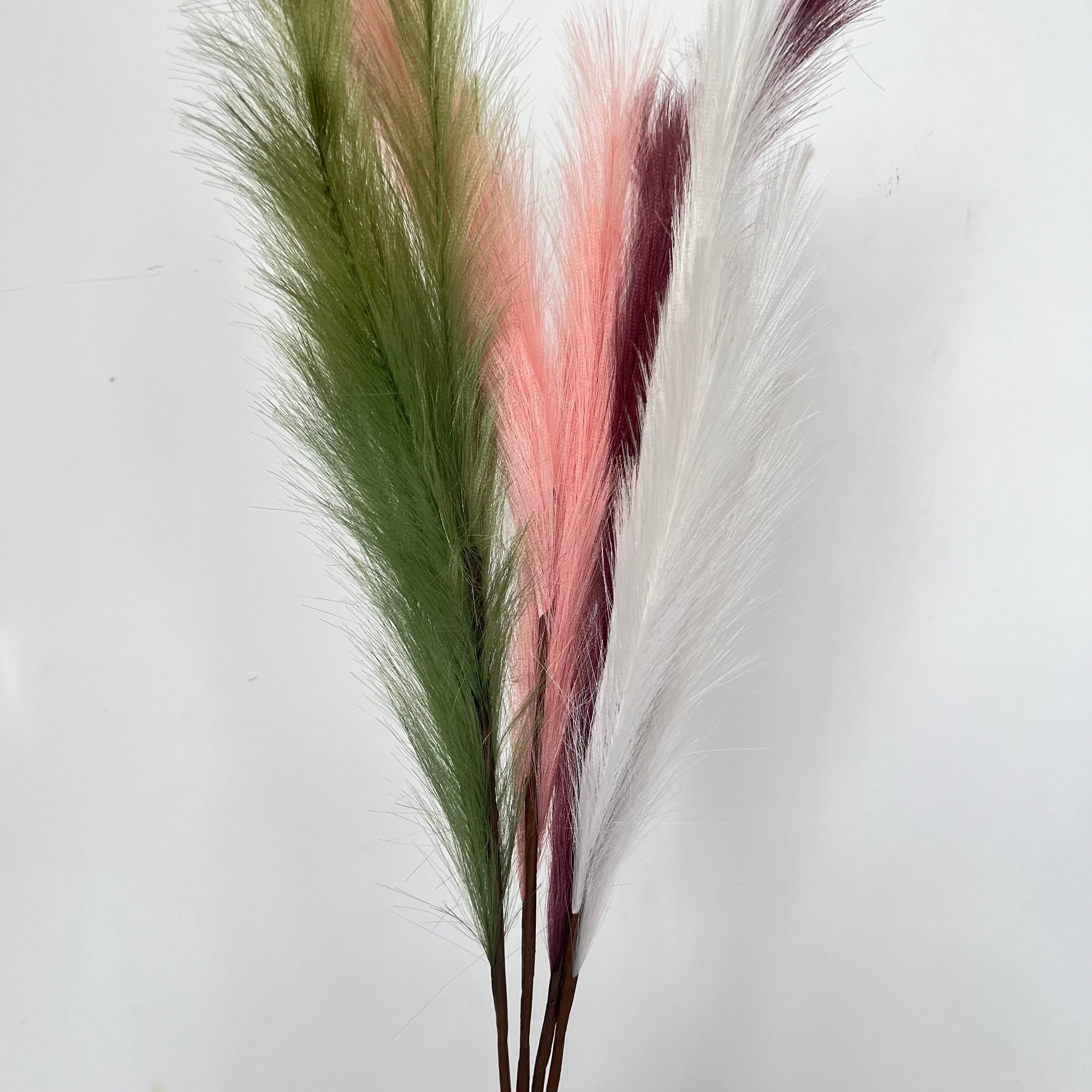Common Reed (2 pcs)